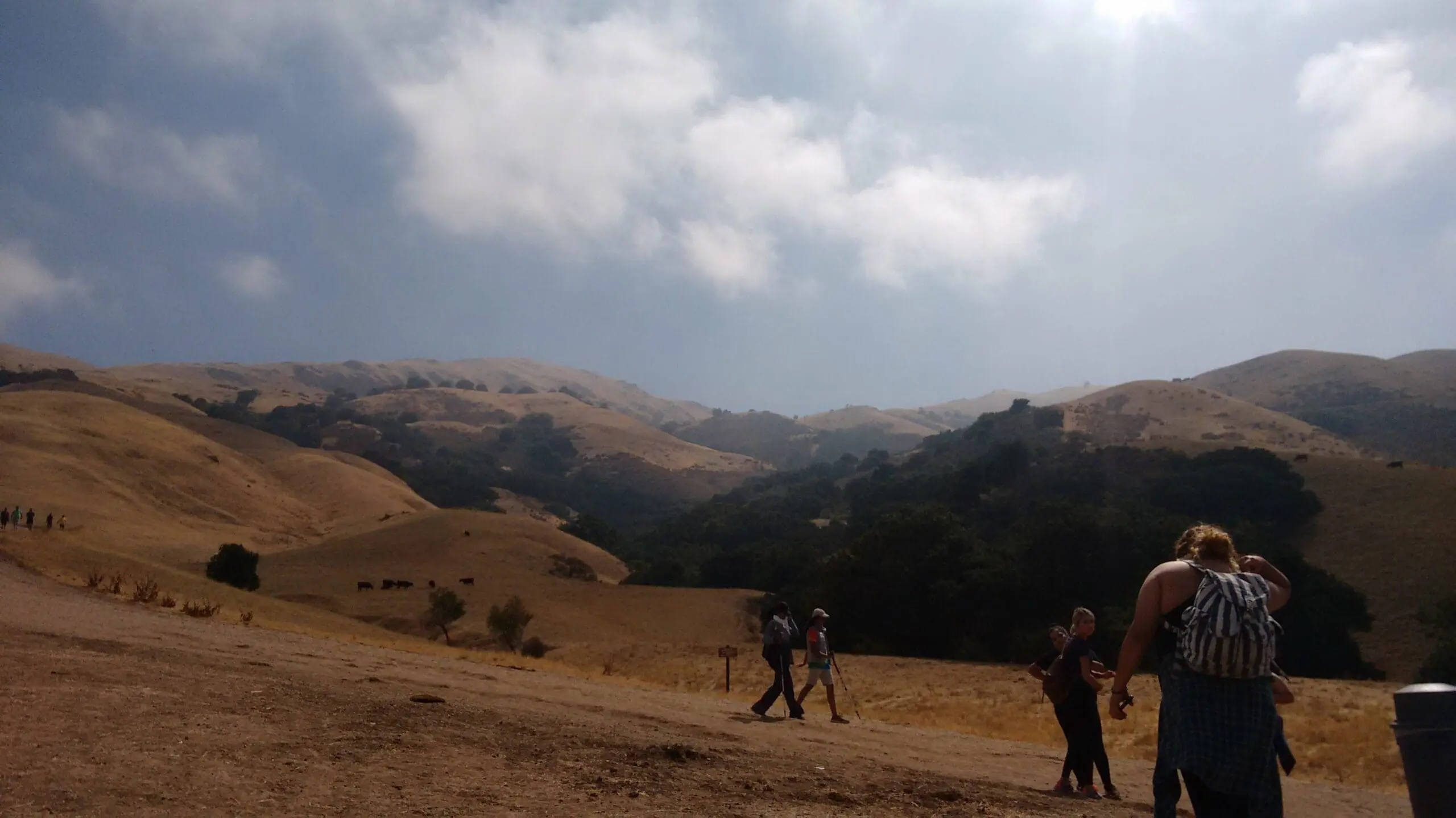Rolling northern California hills with hikers