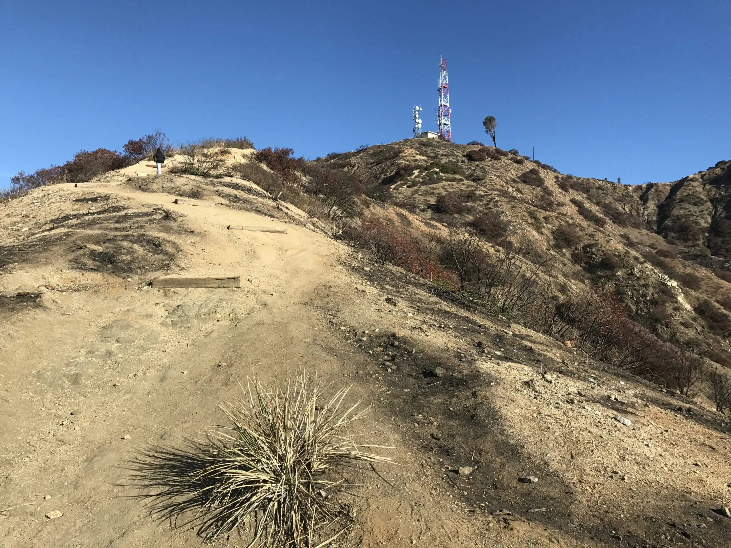 Wildwood canyon radio towers