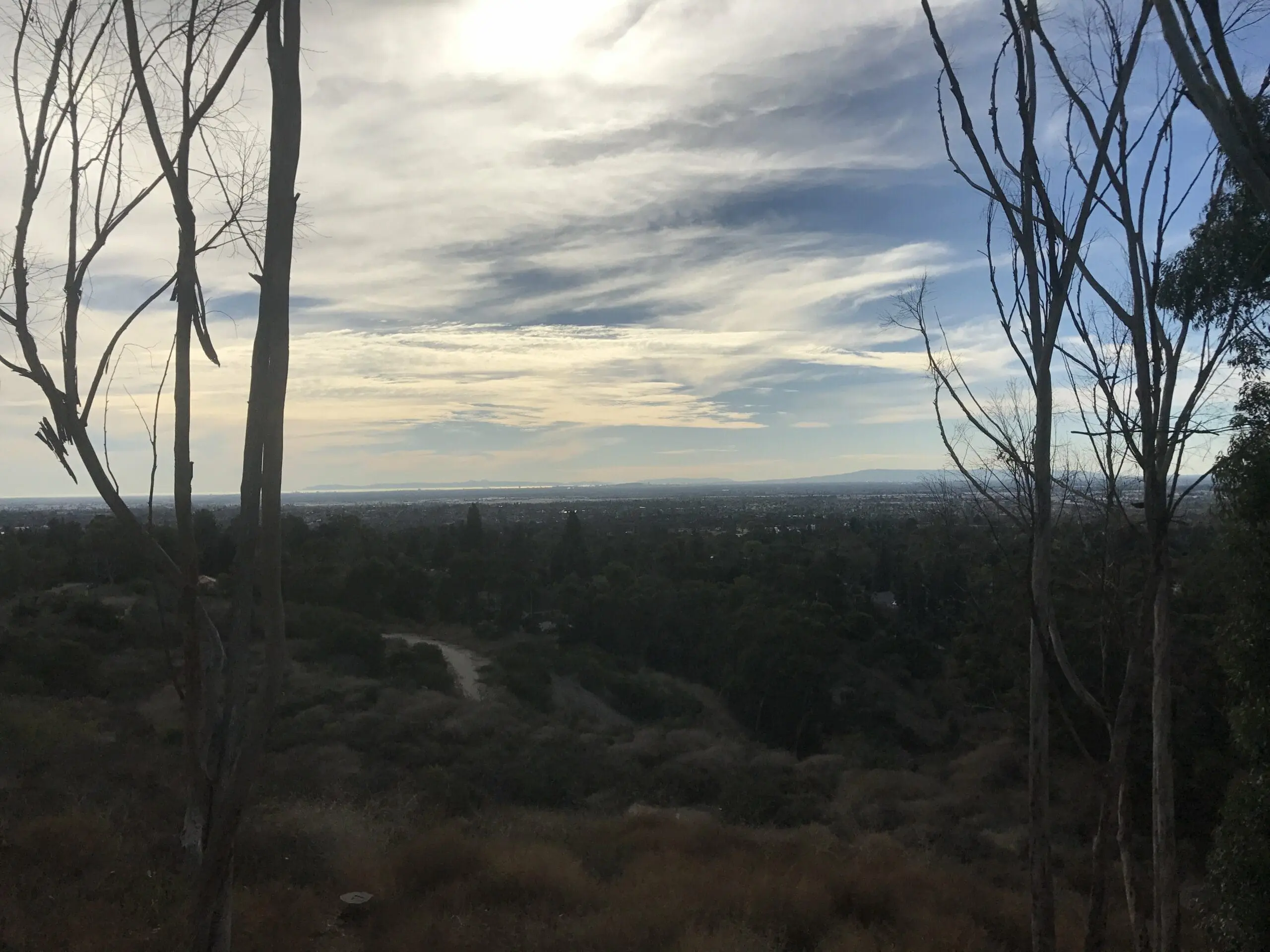 Arroyo Pescadero Trail views