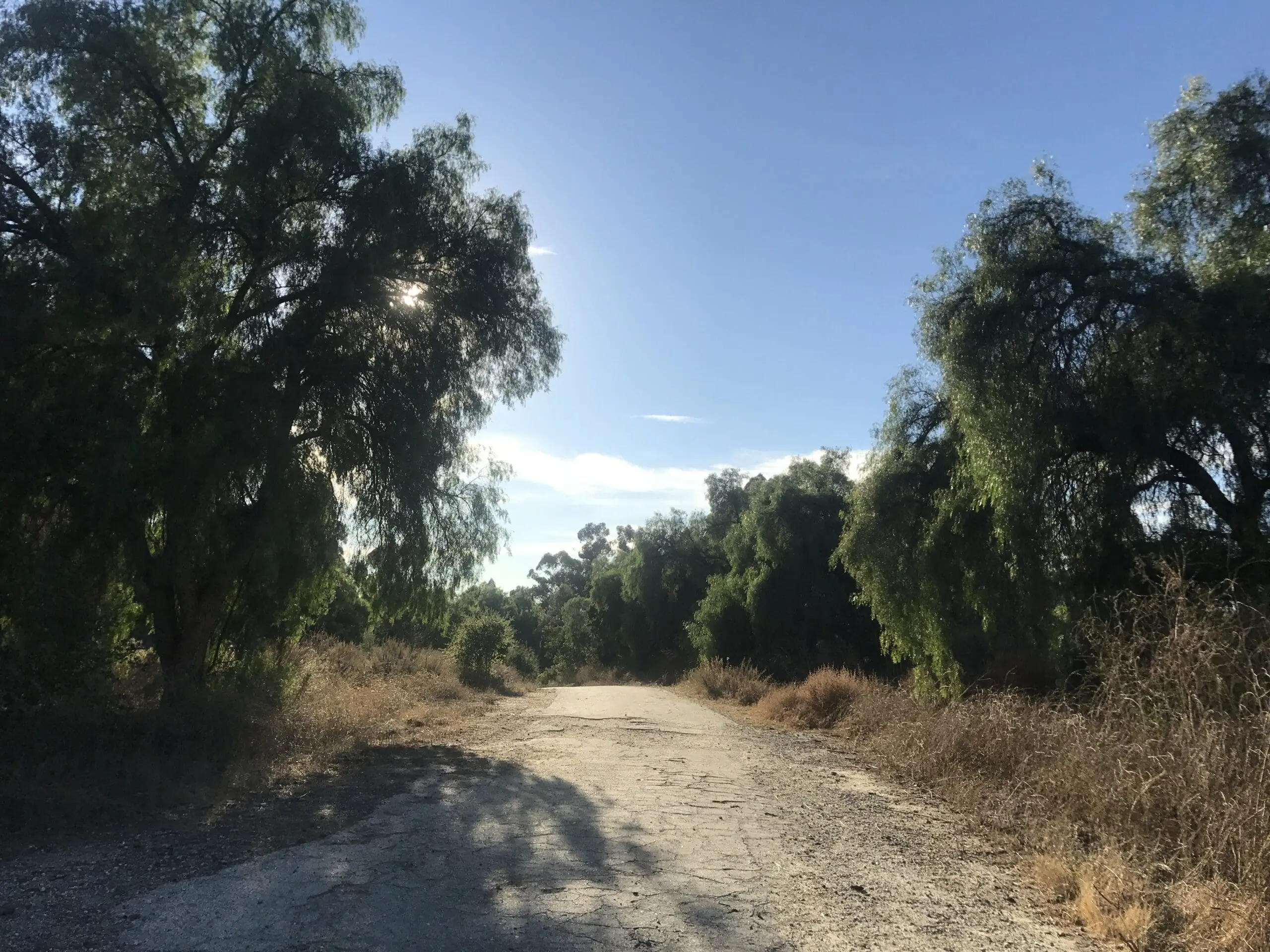 Arroyo Pescadero trail empty path