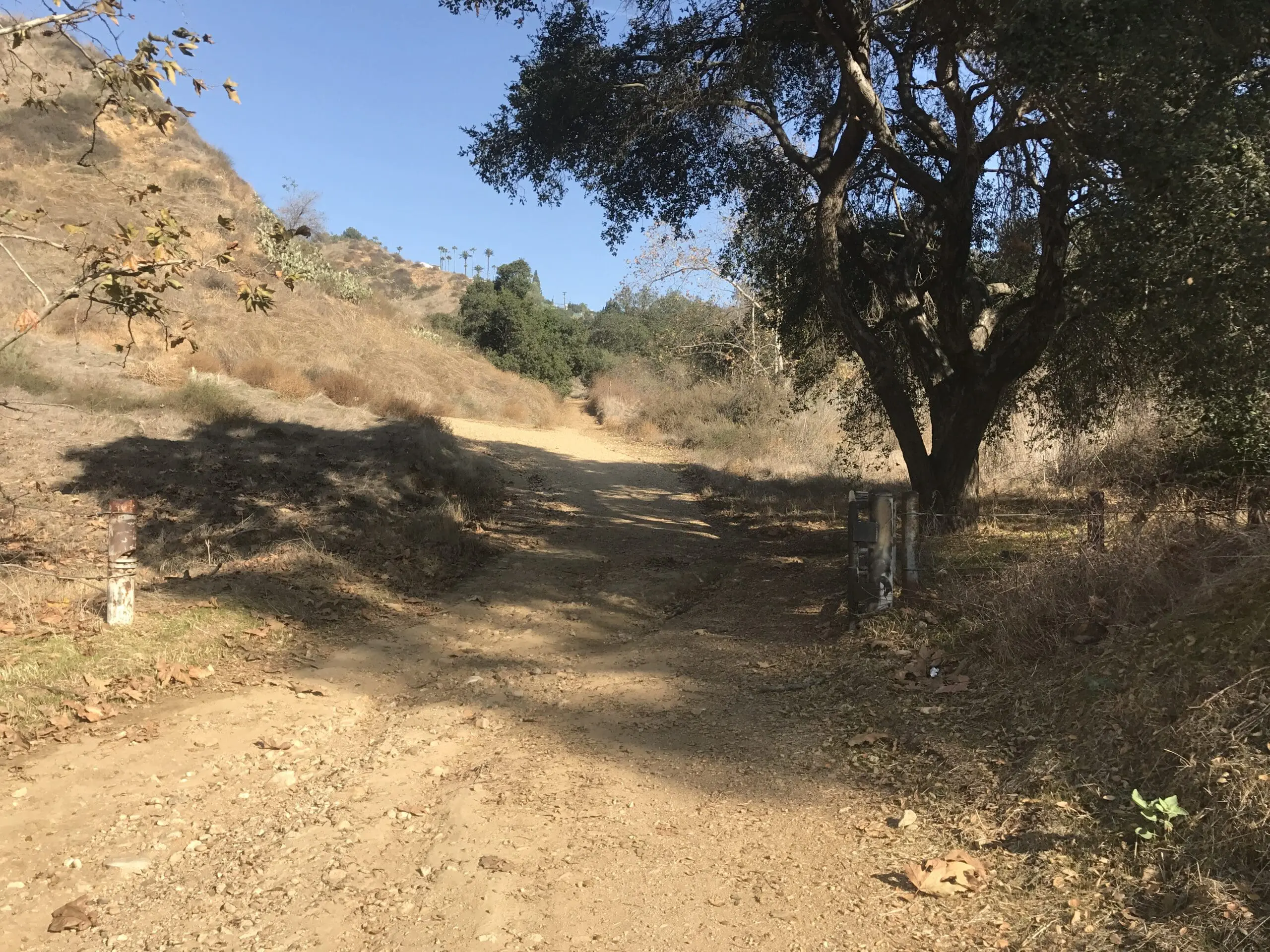 Turnbull Canyon Trail fence
