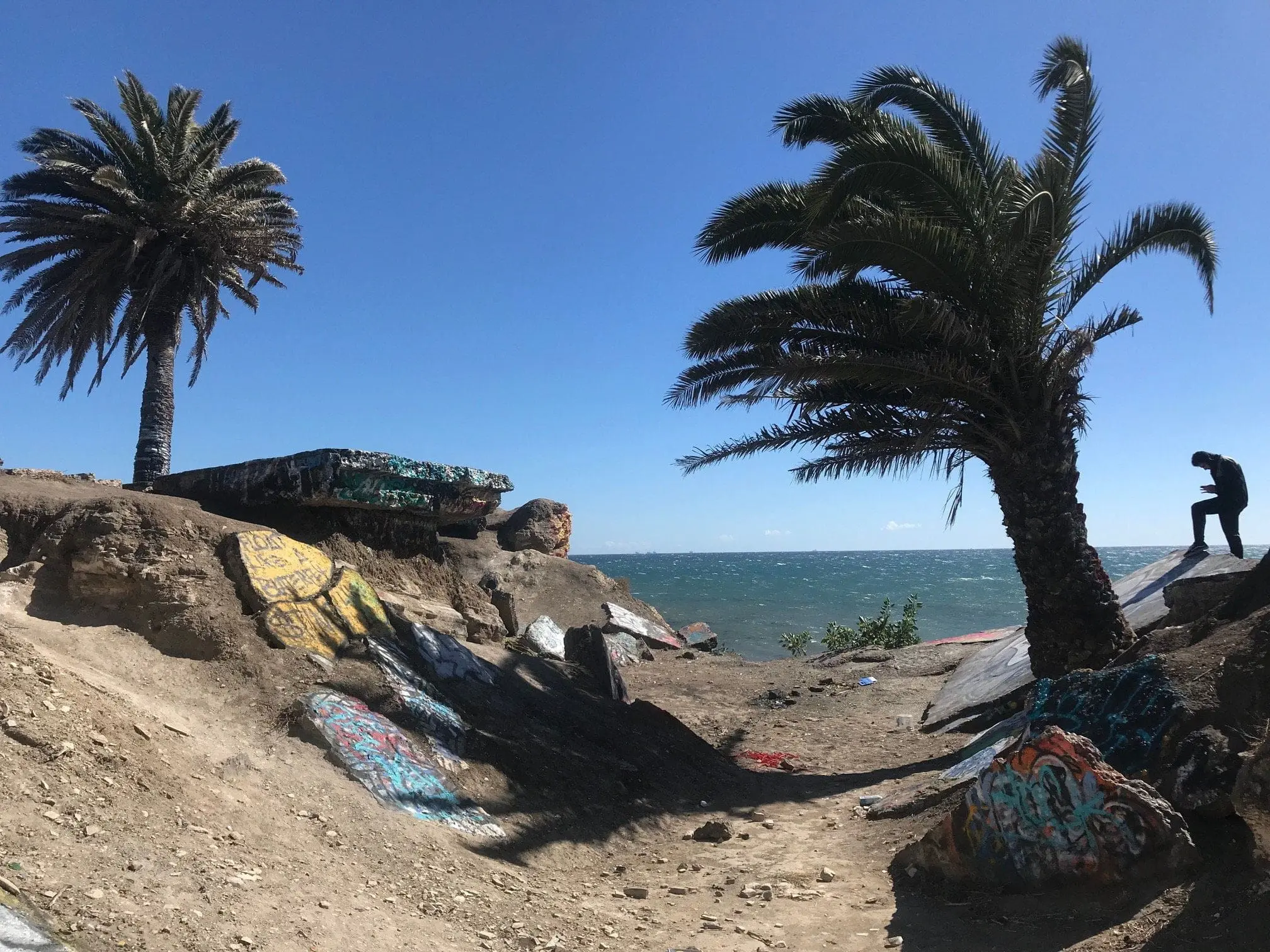 san pedro sunken city graffiti and palm trees.