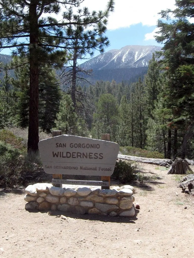 San Gorgonio Wilderness sign. San Bernardino National Forest.