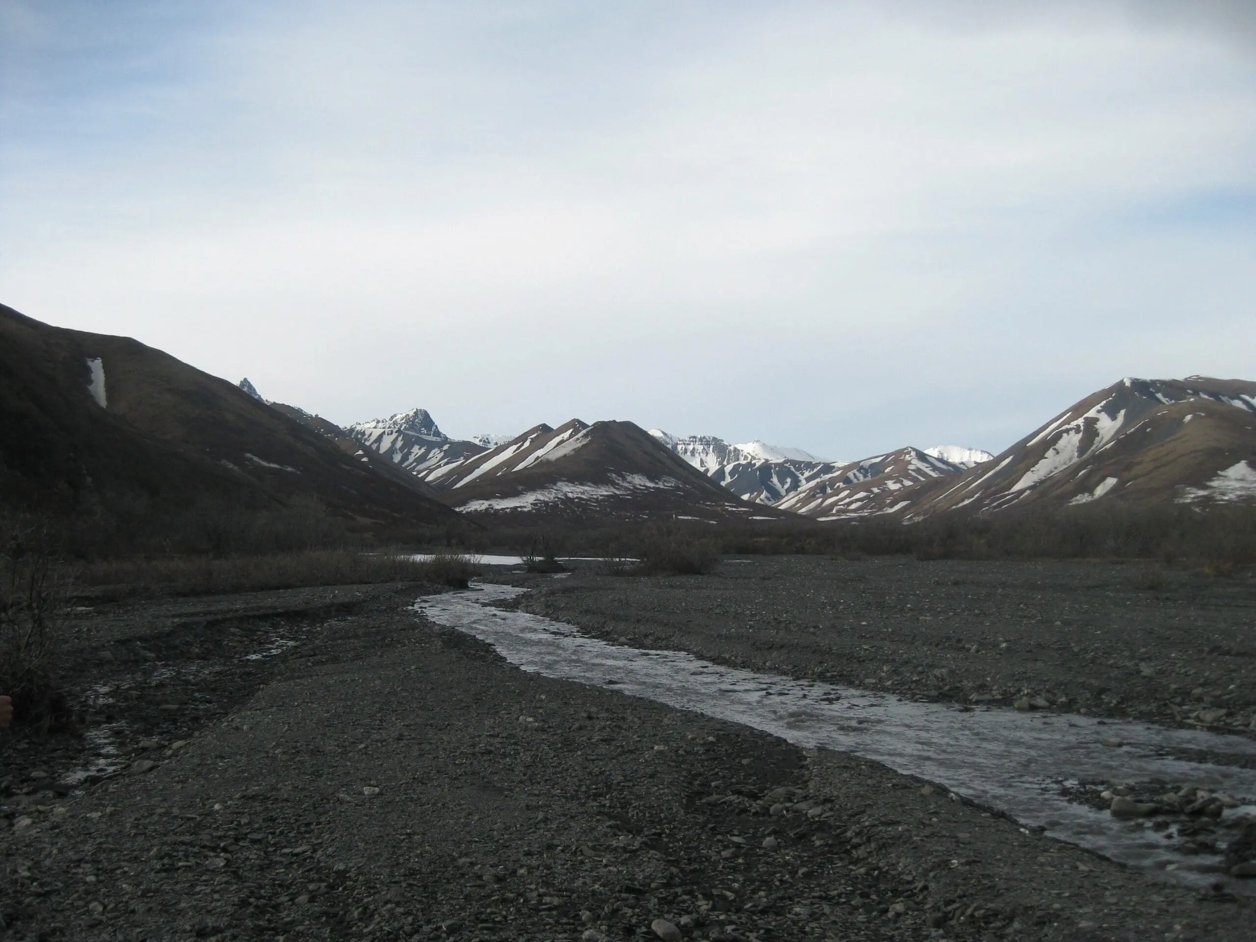savage river Denali Alaska mountain peaks