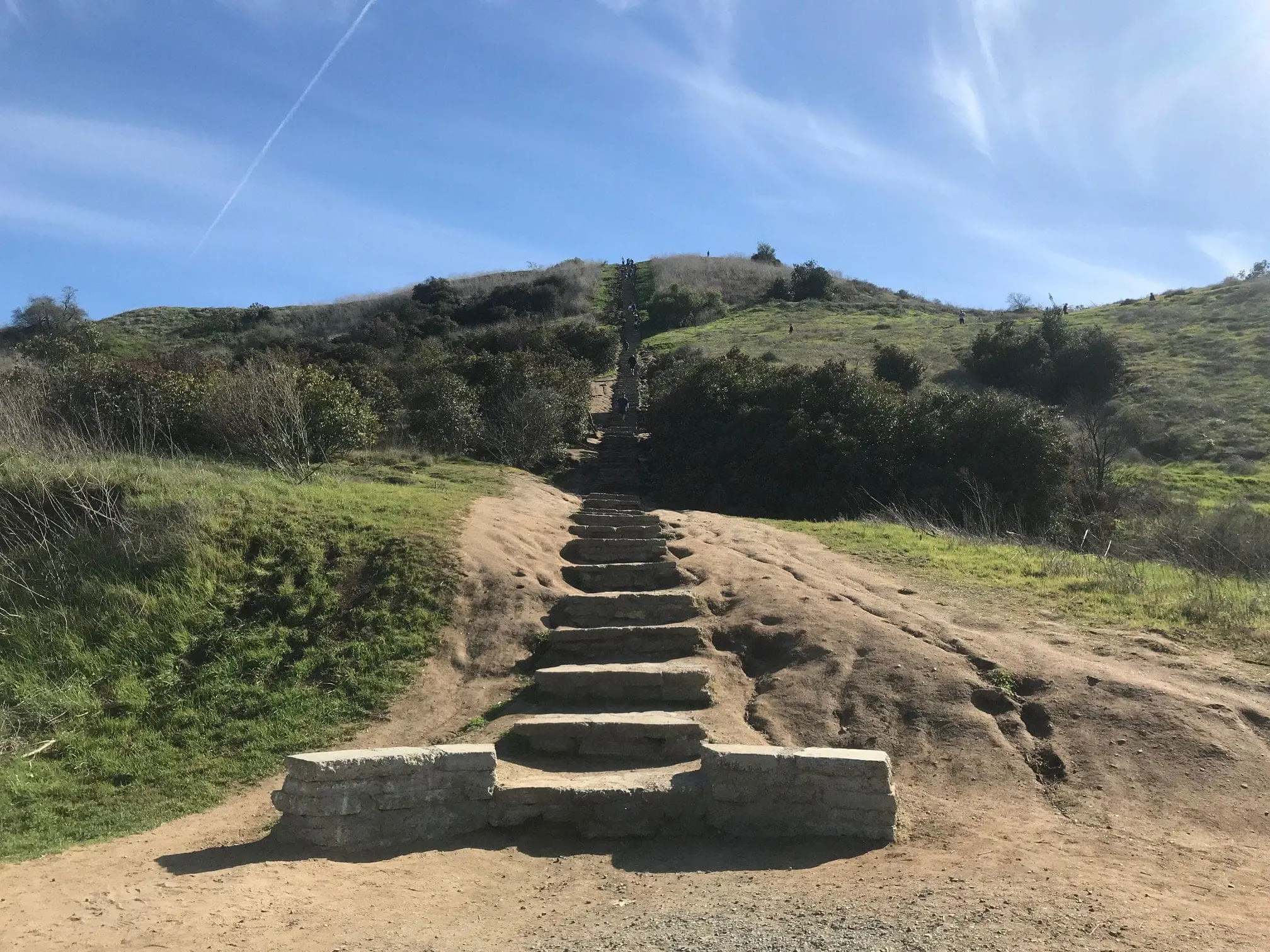 Culver City Staircase up the mount