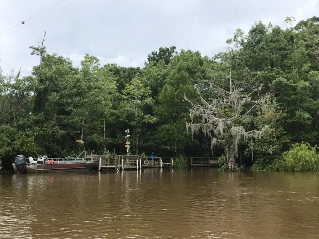 honey island boat dock with swamp trees