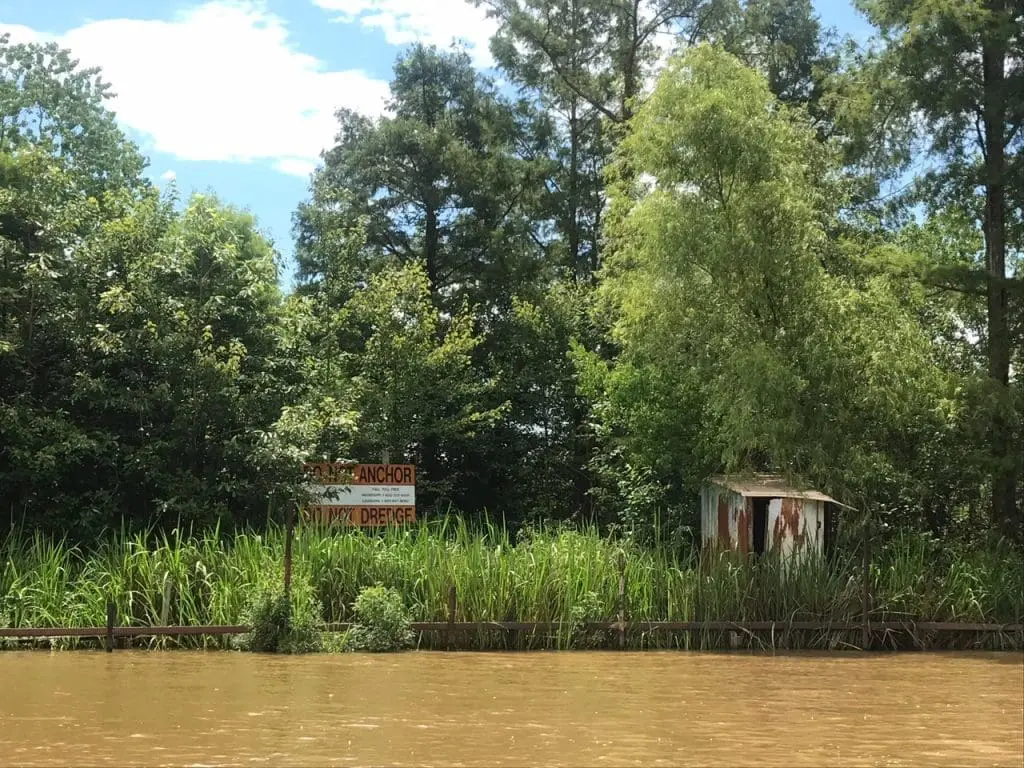 honey island alligator swamps shack