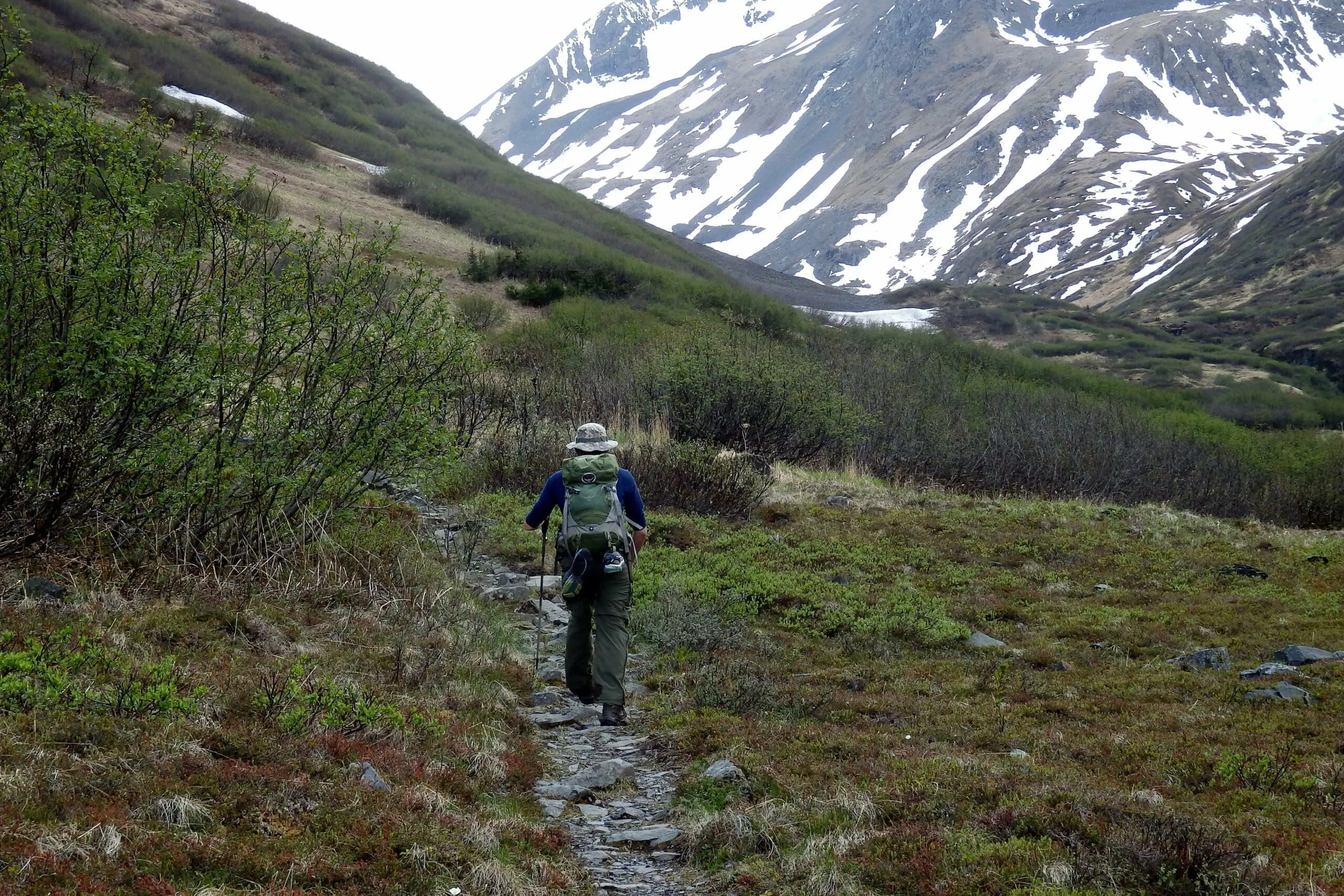 long distance hiking along Raven Creek Trail, Alaska. 