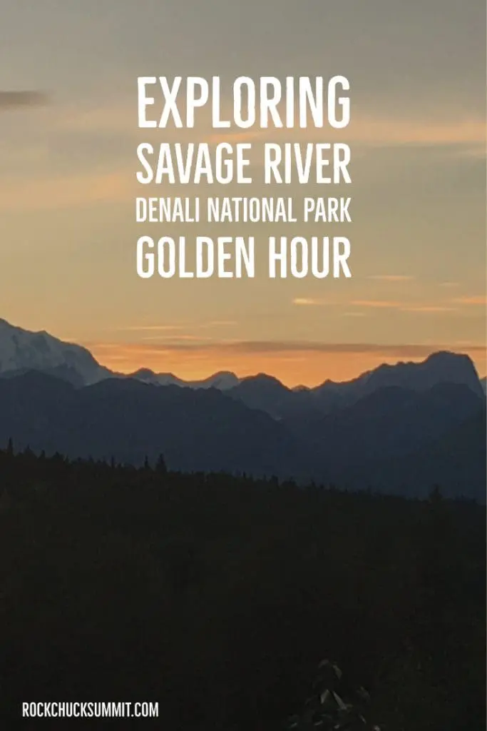Hiking the Savage River of Denali National Park during the golden hour