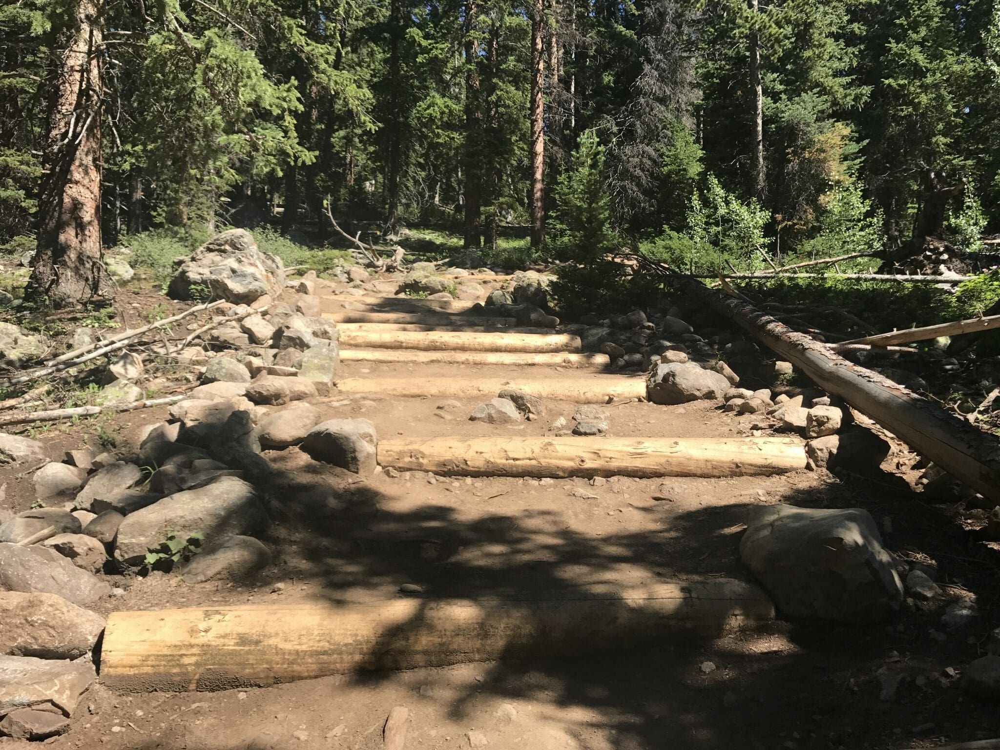 Quandary Peak Trail