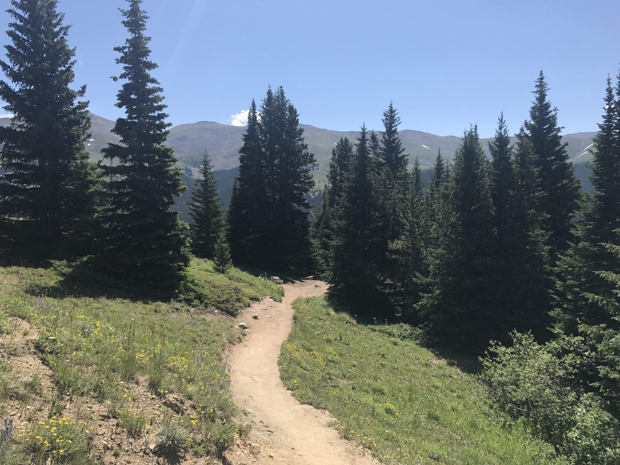 Quandary Peak Trail above the treeline