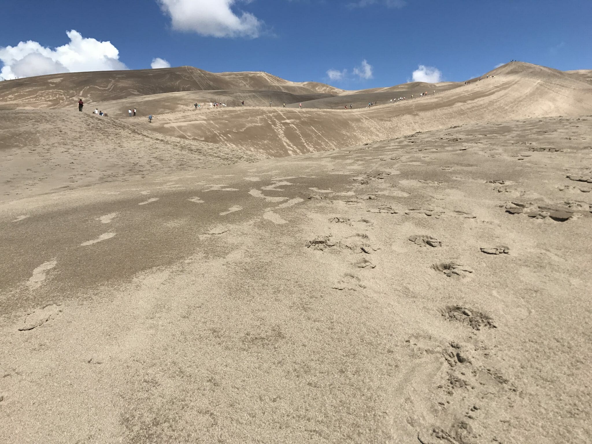 Parc national des grandes dunes de sable
