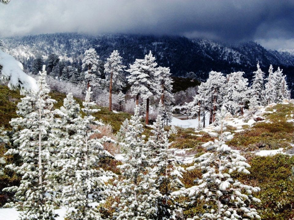 snowshoe big bear lake