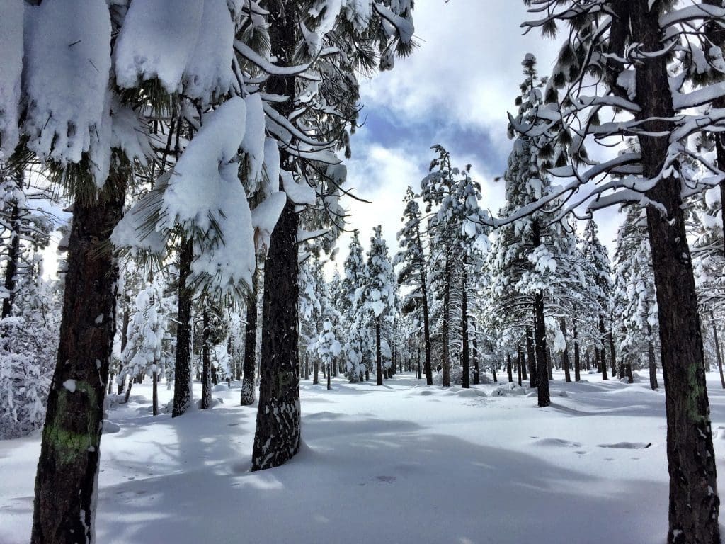 snowfall on big bear lake