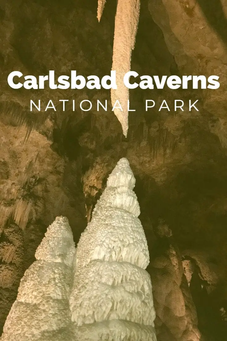 Parc national des cavernes de Carlsbad