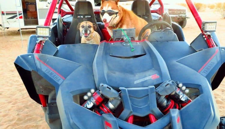Glamis
