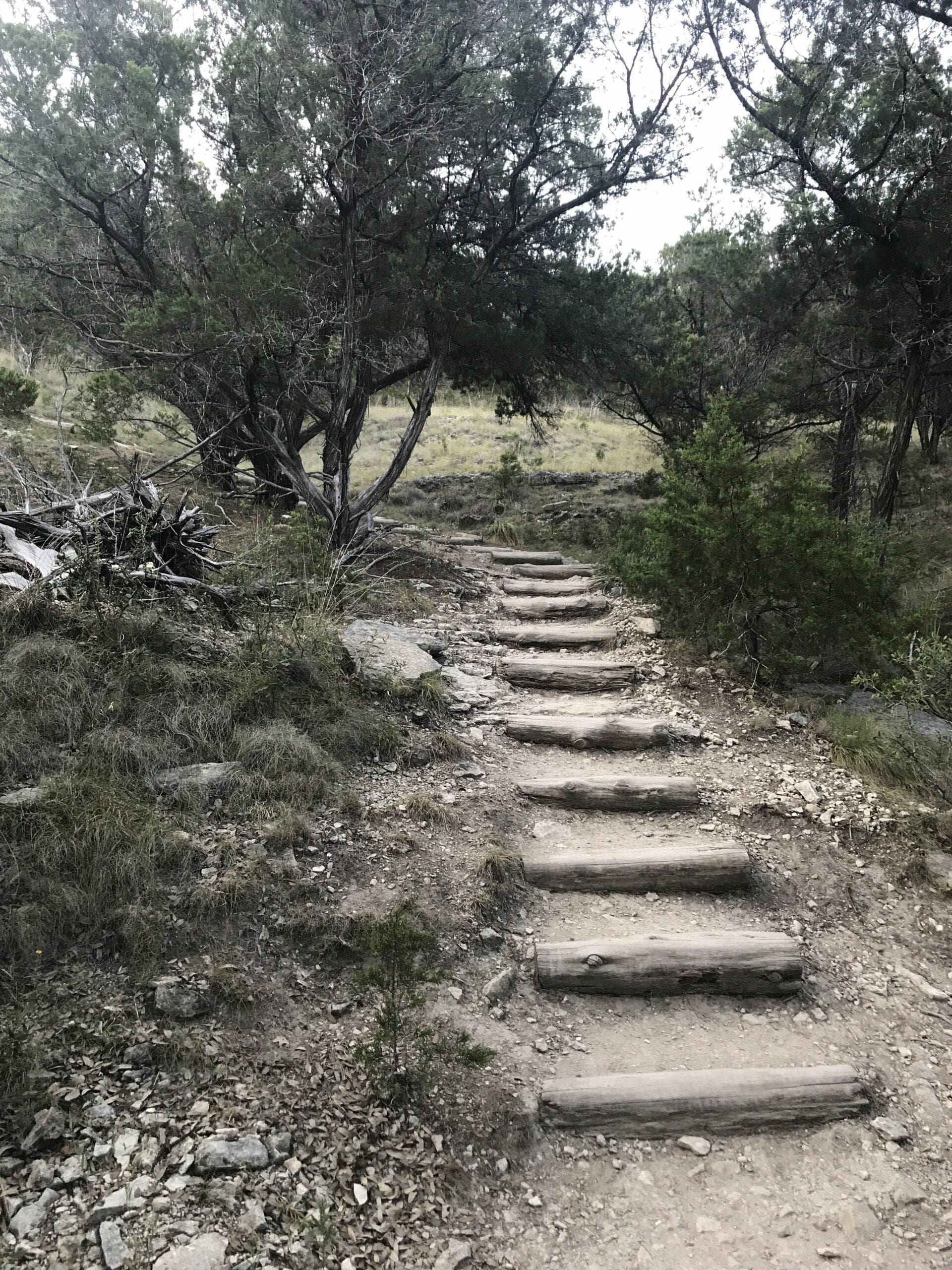 hiking a 14er training