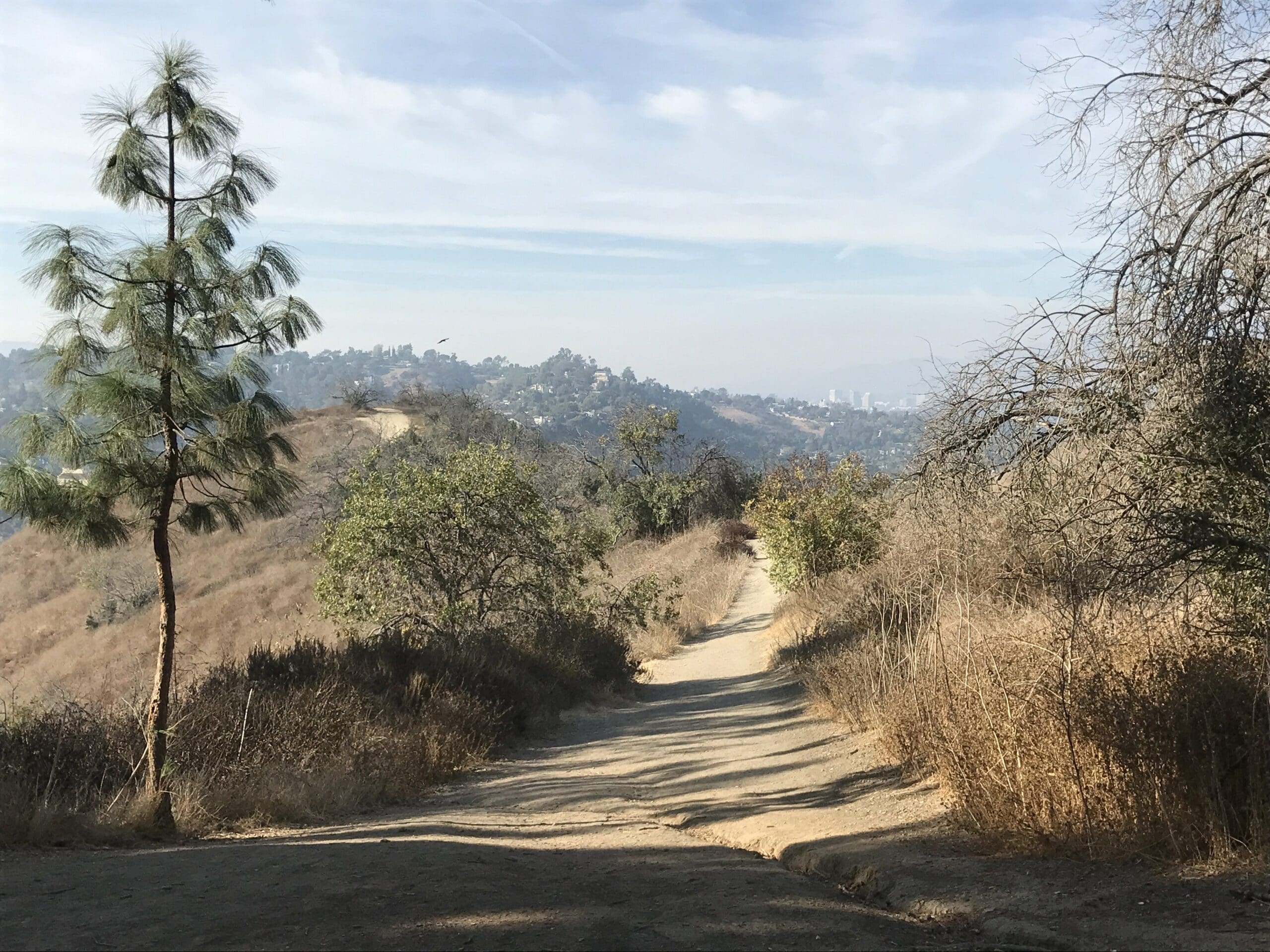 ernest e debs regional park