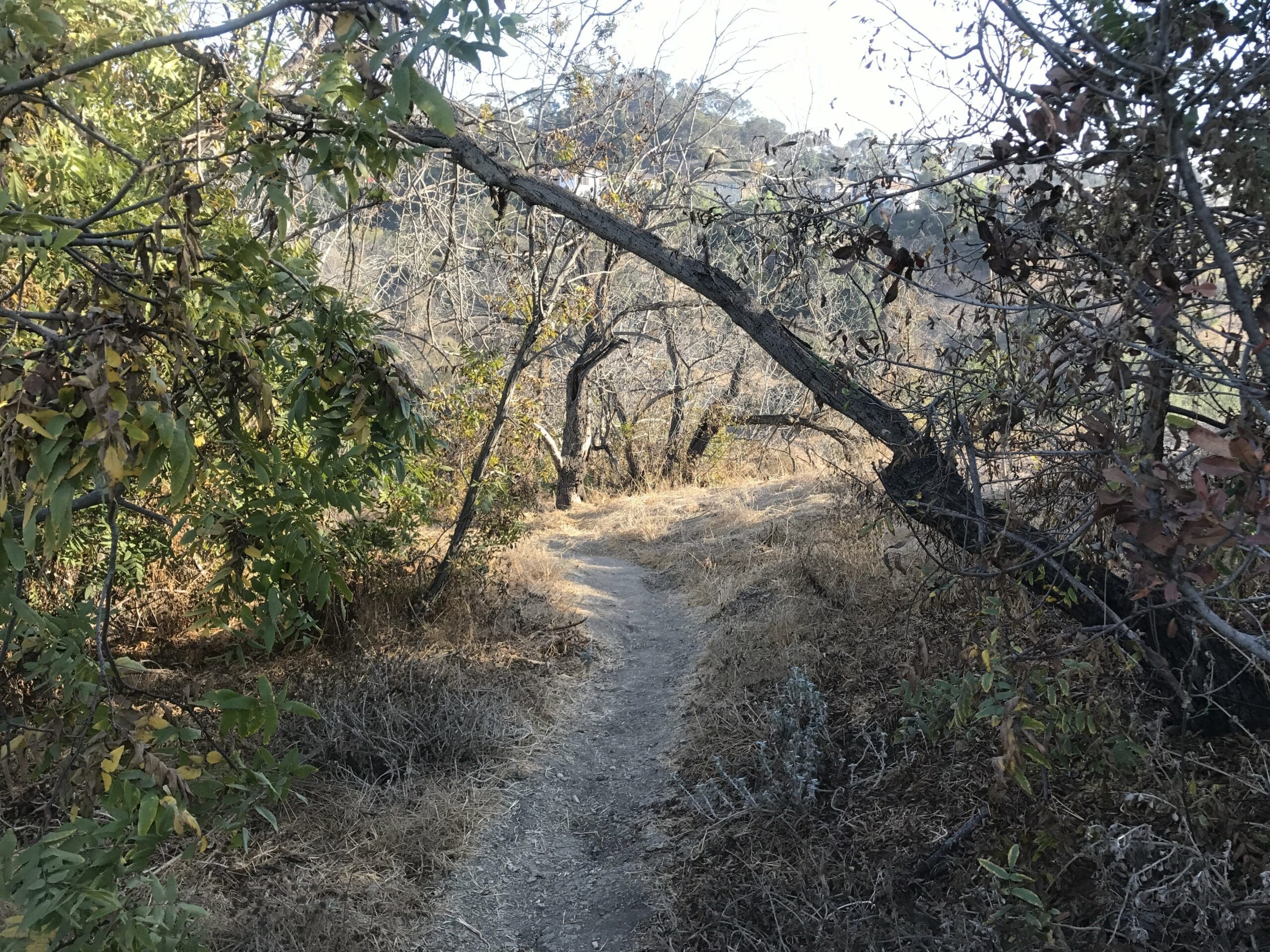 ernest e debs regional park