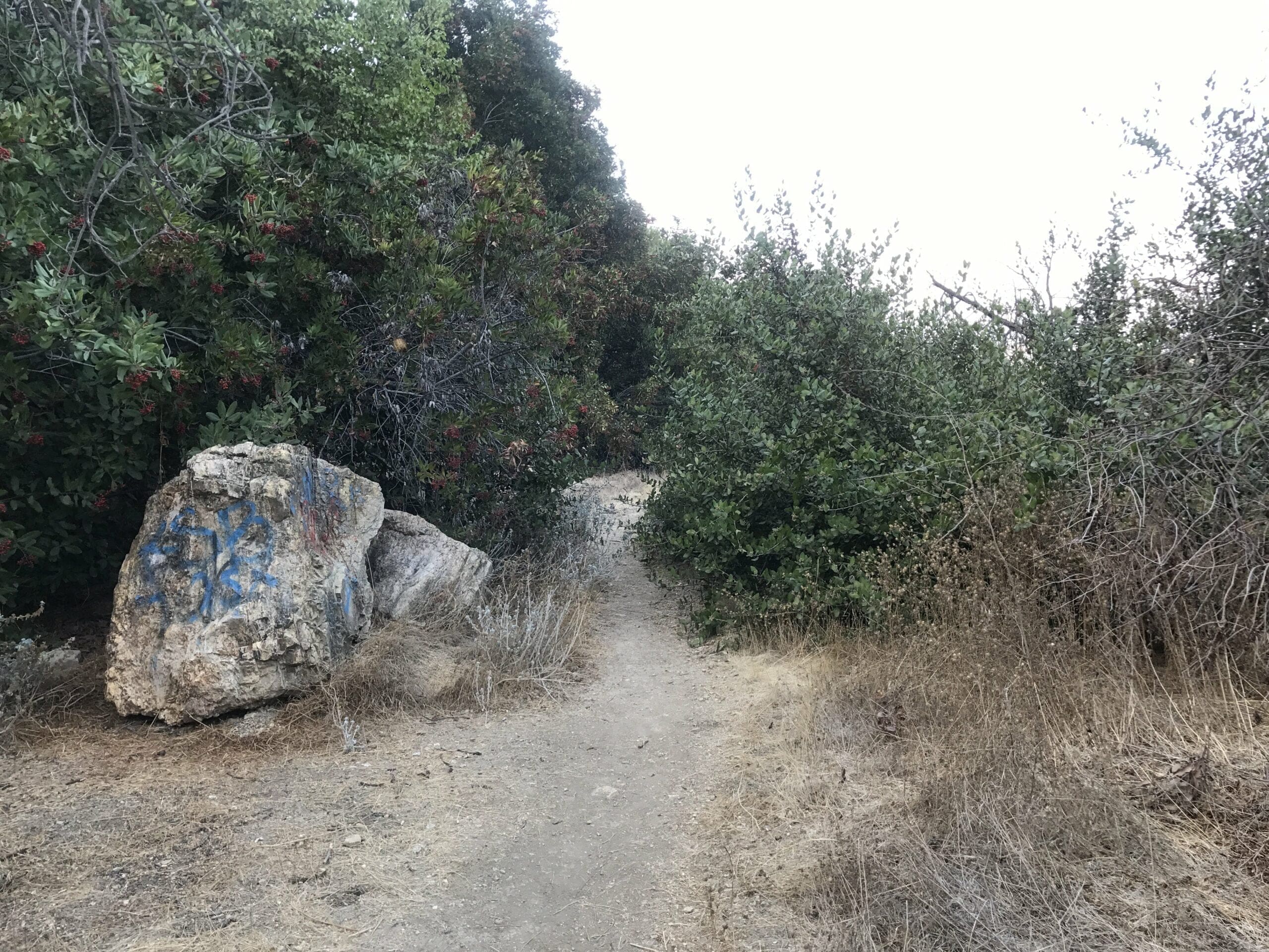 ernest e debs regional park