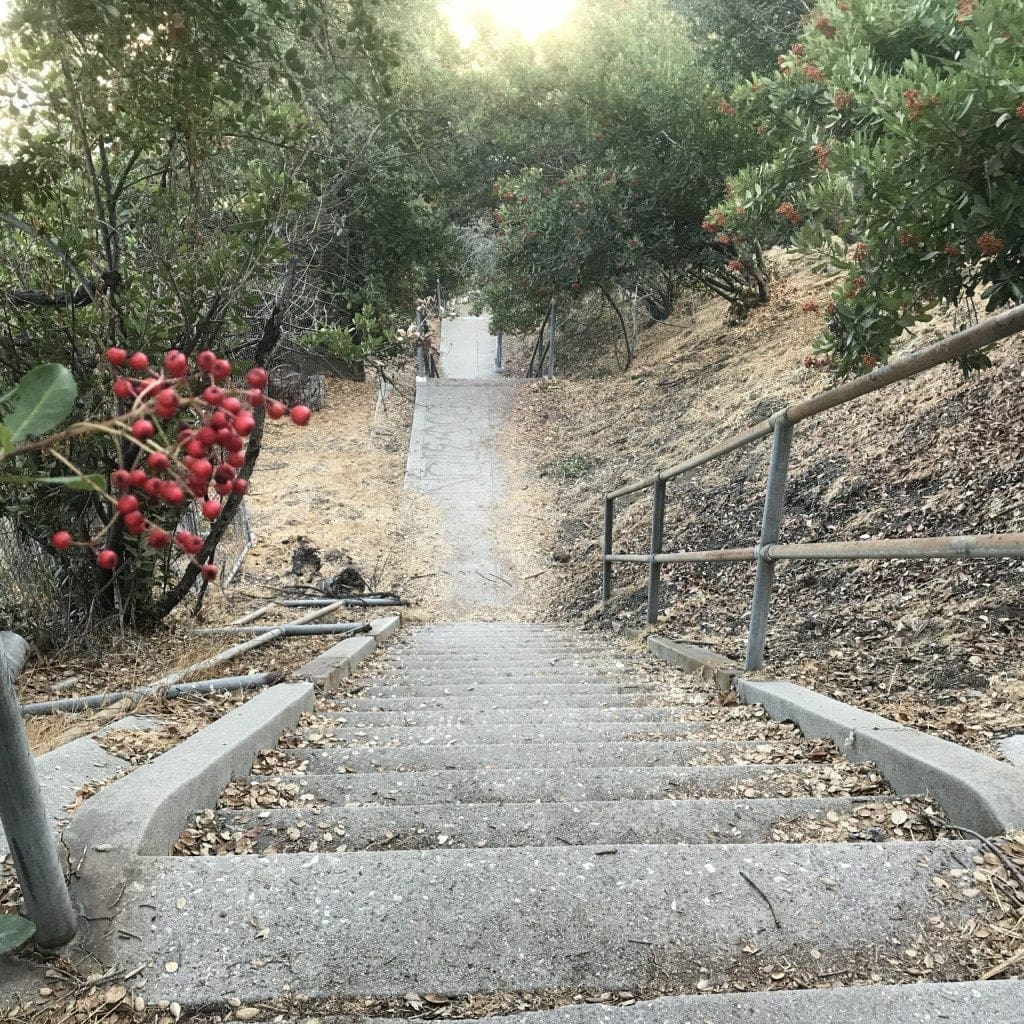 ernest e debs regional park stairs