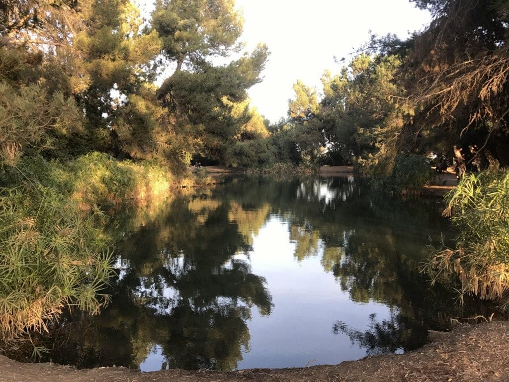 ernest e debs regional park fishing