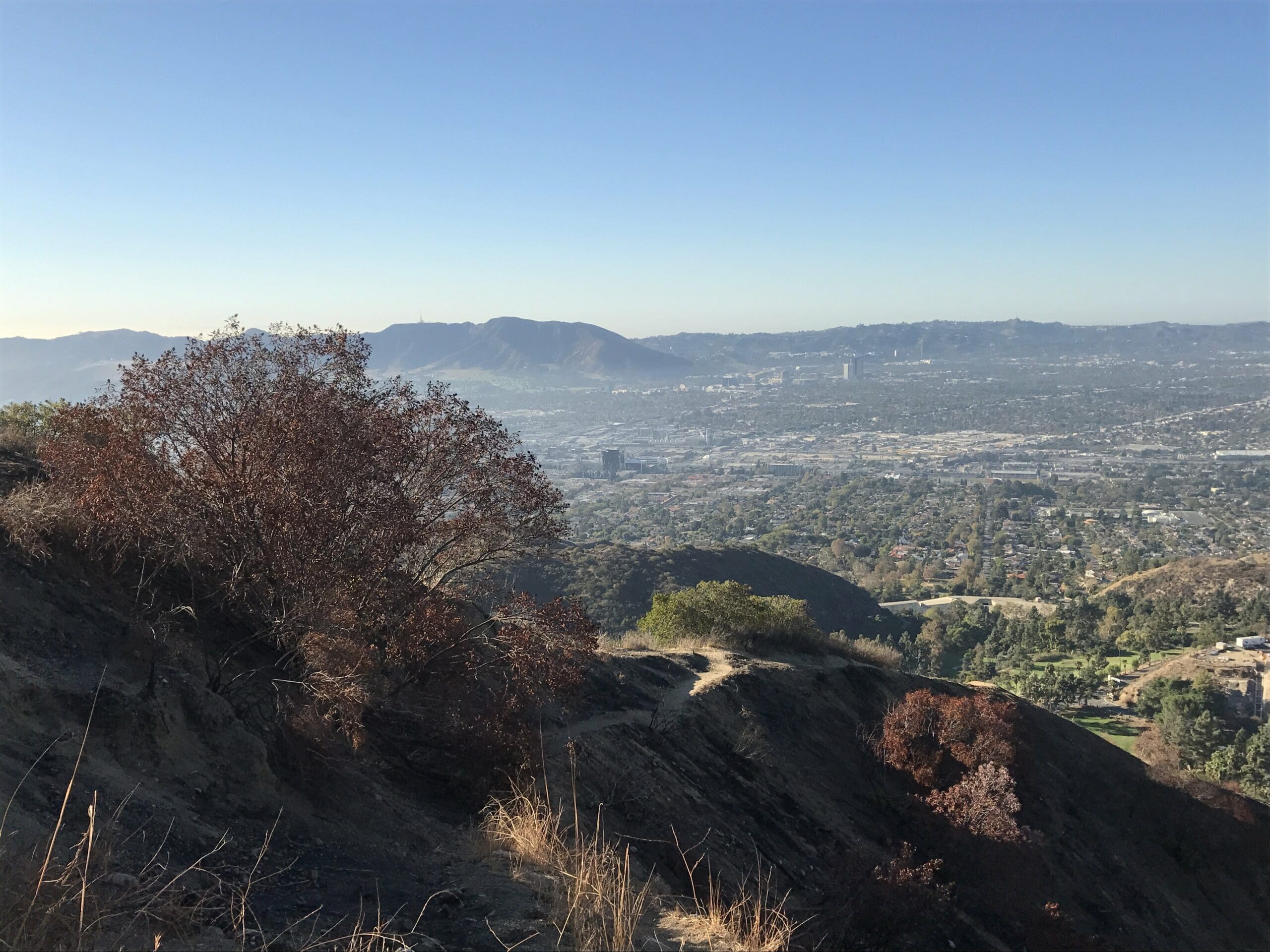 Wildwood canyon hike