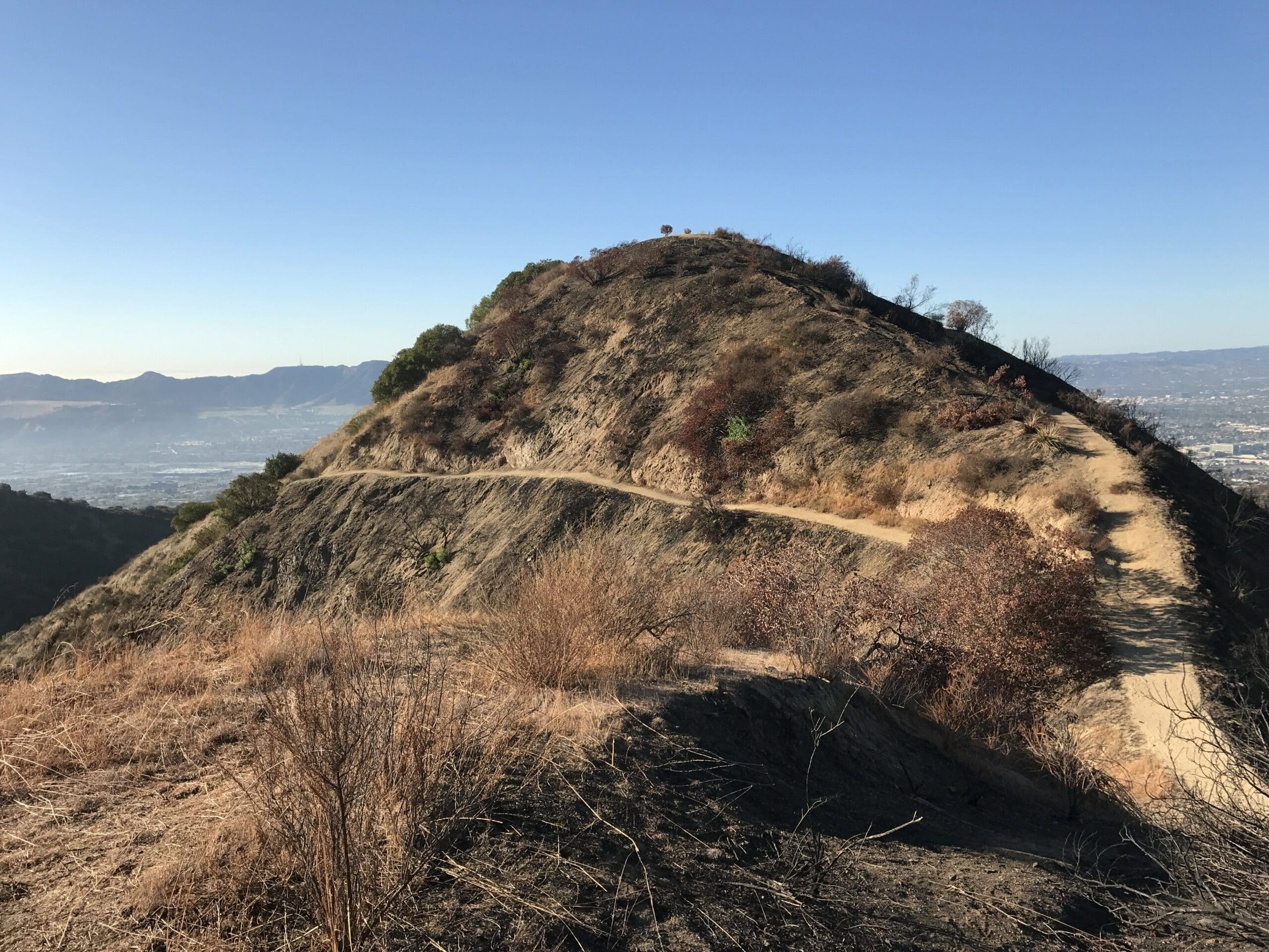 Wildwood canyon after fire