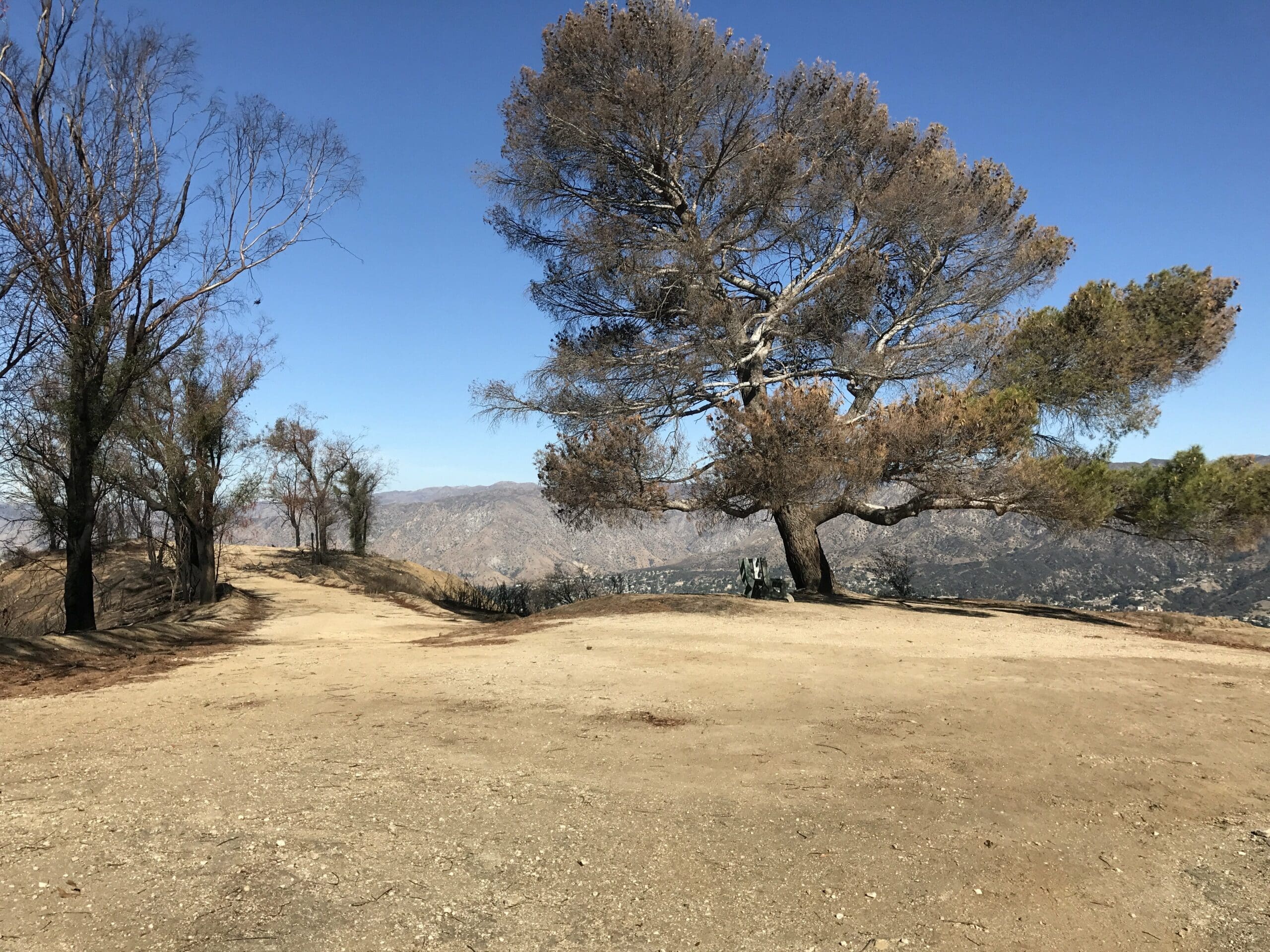 Wildwood canyon park bench