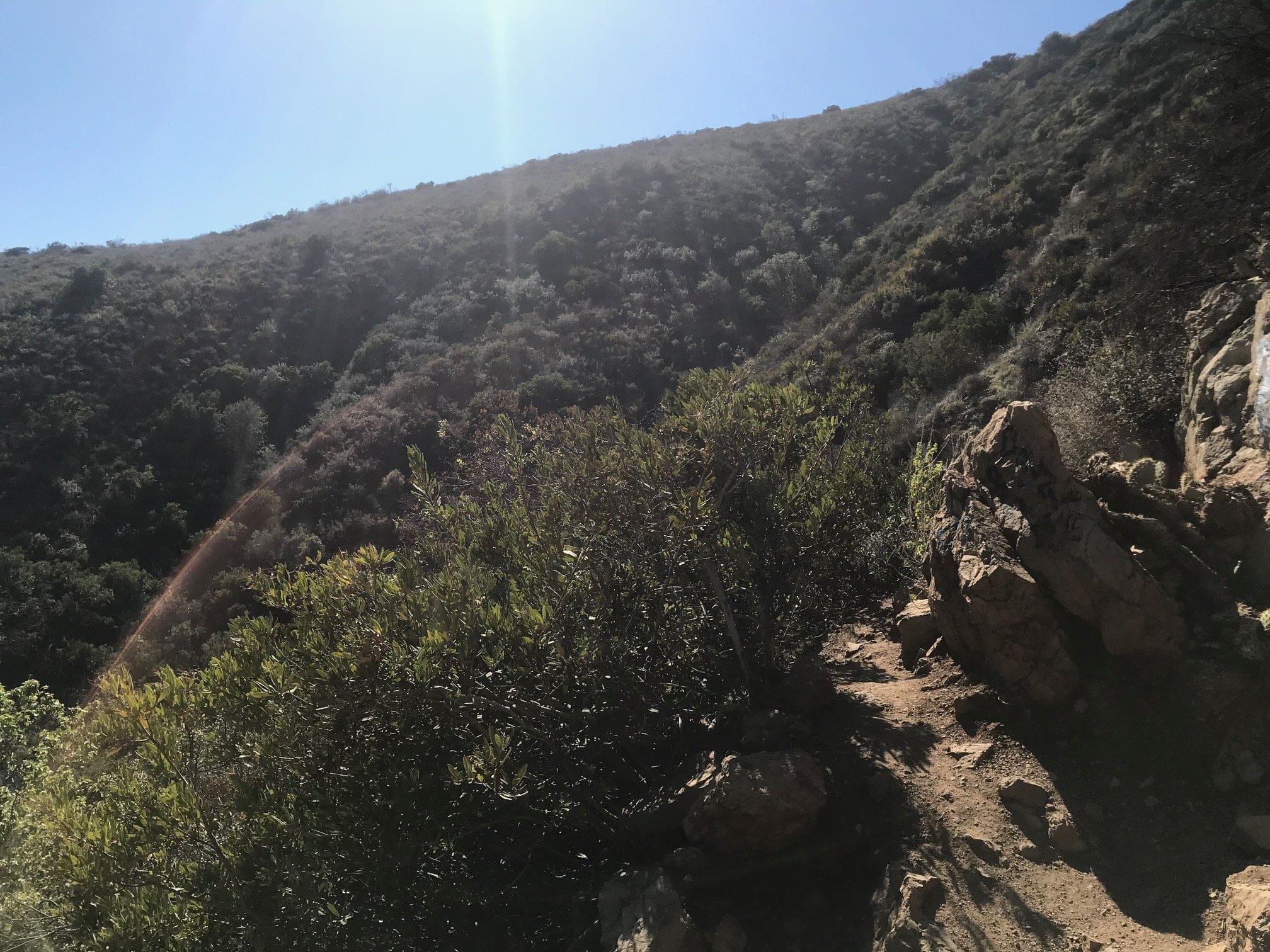 Sentier du canyon des chutes d'Escondido