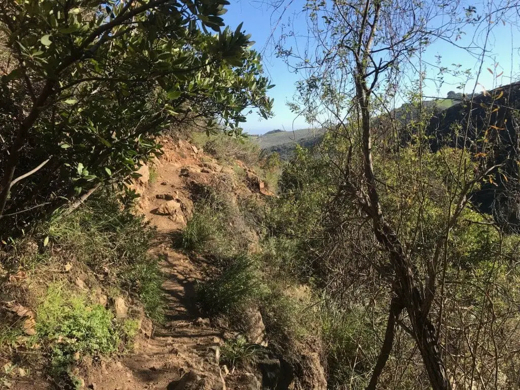 Escondido Falls trail