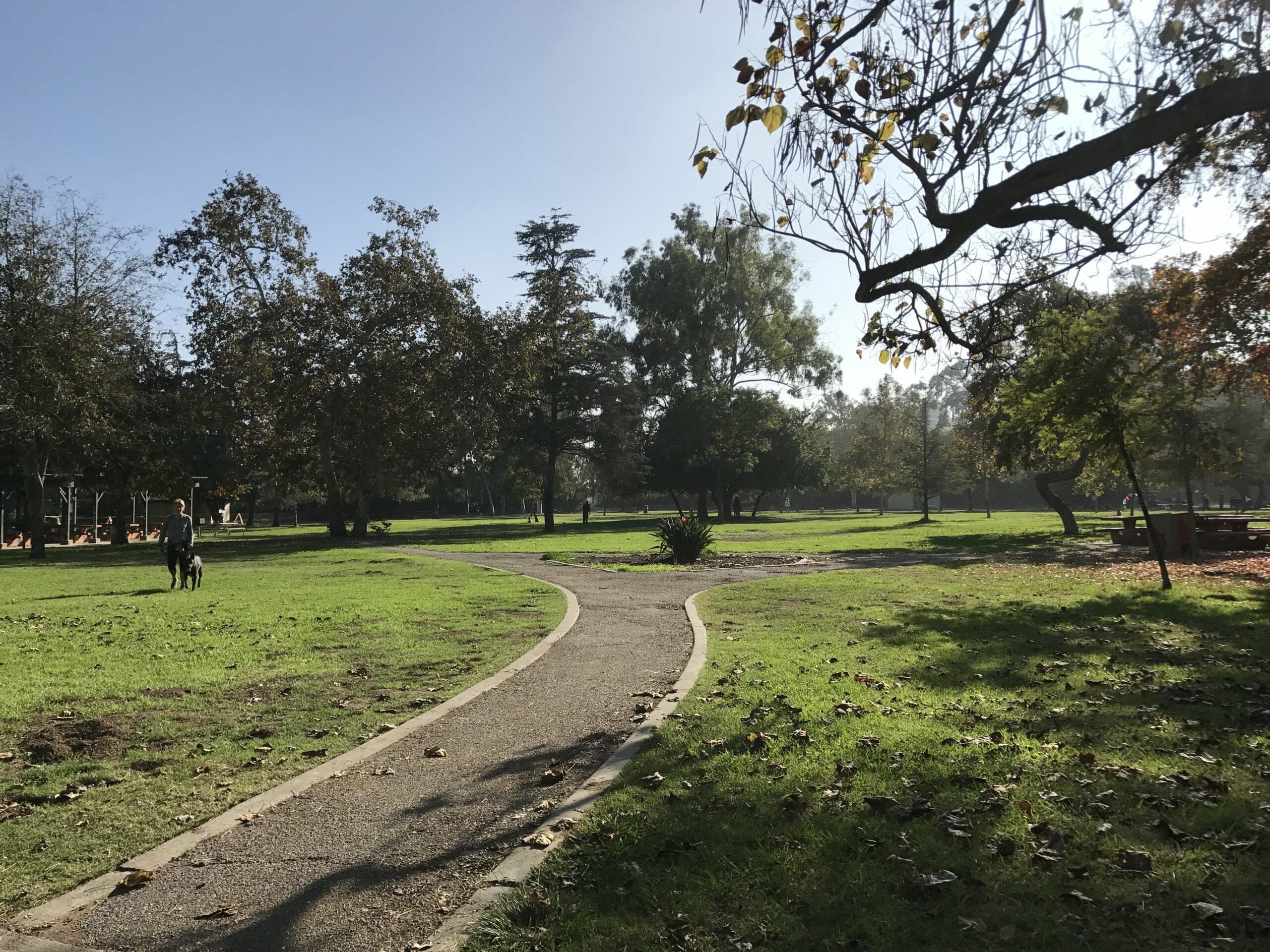 Ernest e. debs regional park