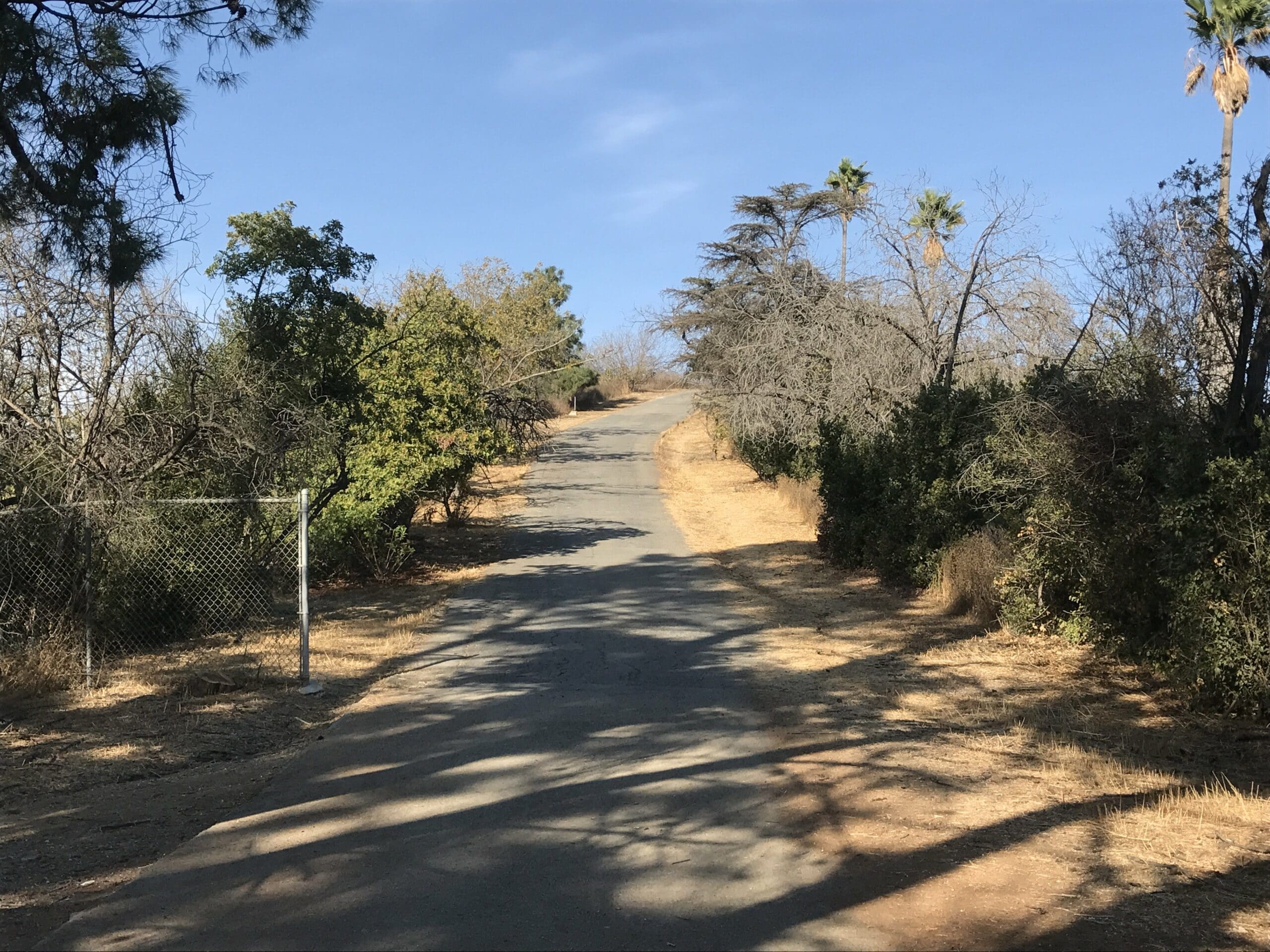 ernest e debs regional park road