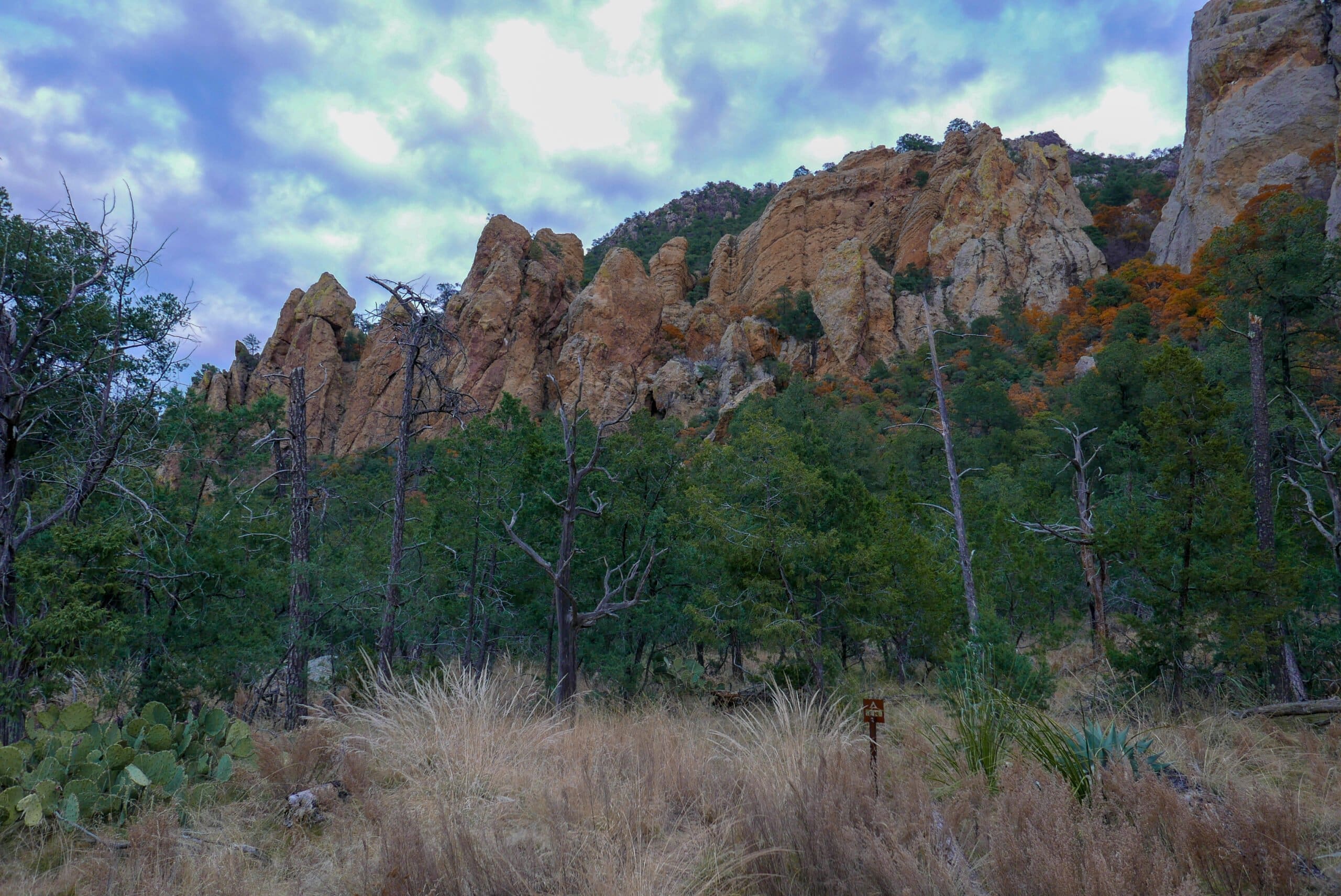 Pinnacles Site Big Bend National Park