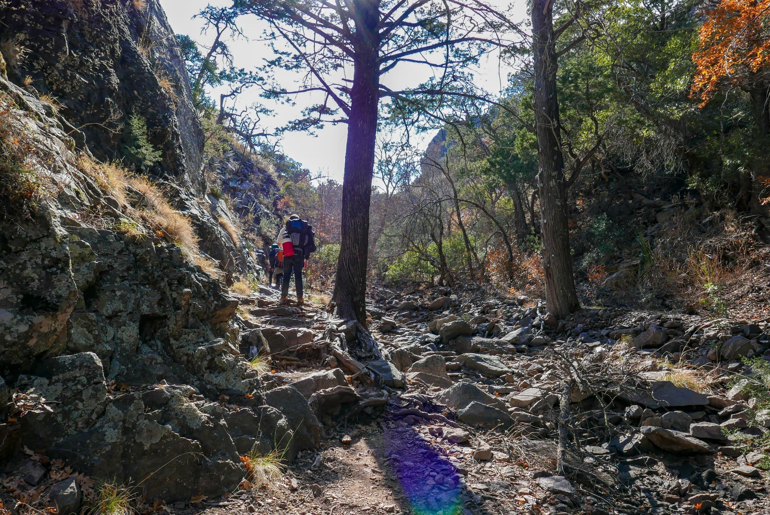 north rim trail big bend