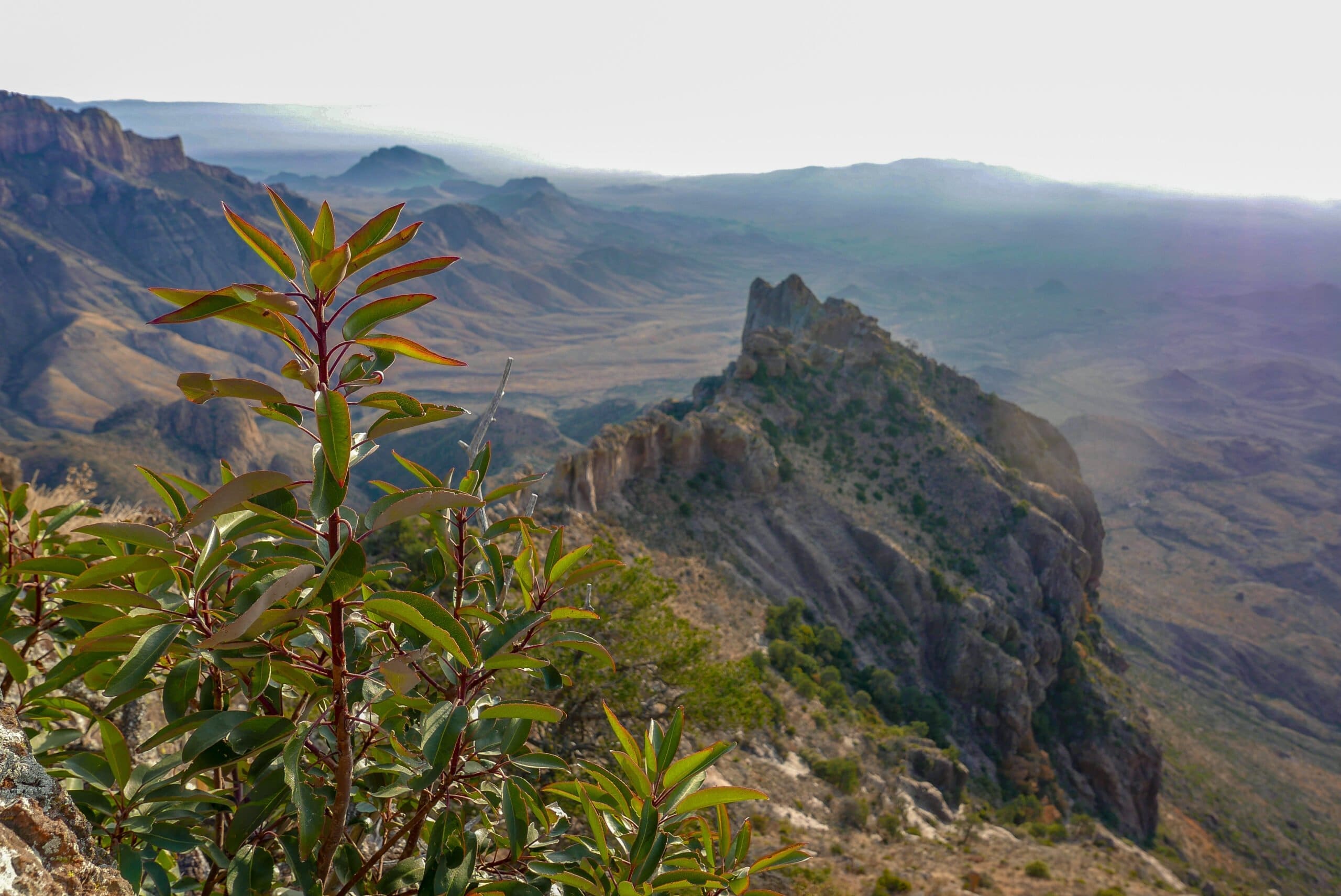 north rim big bend national park