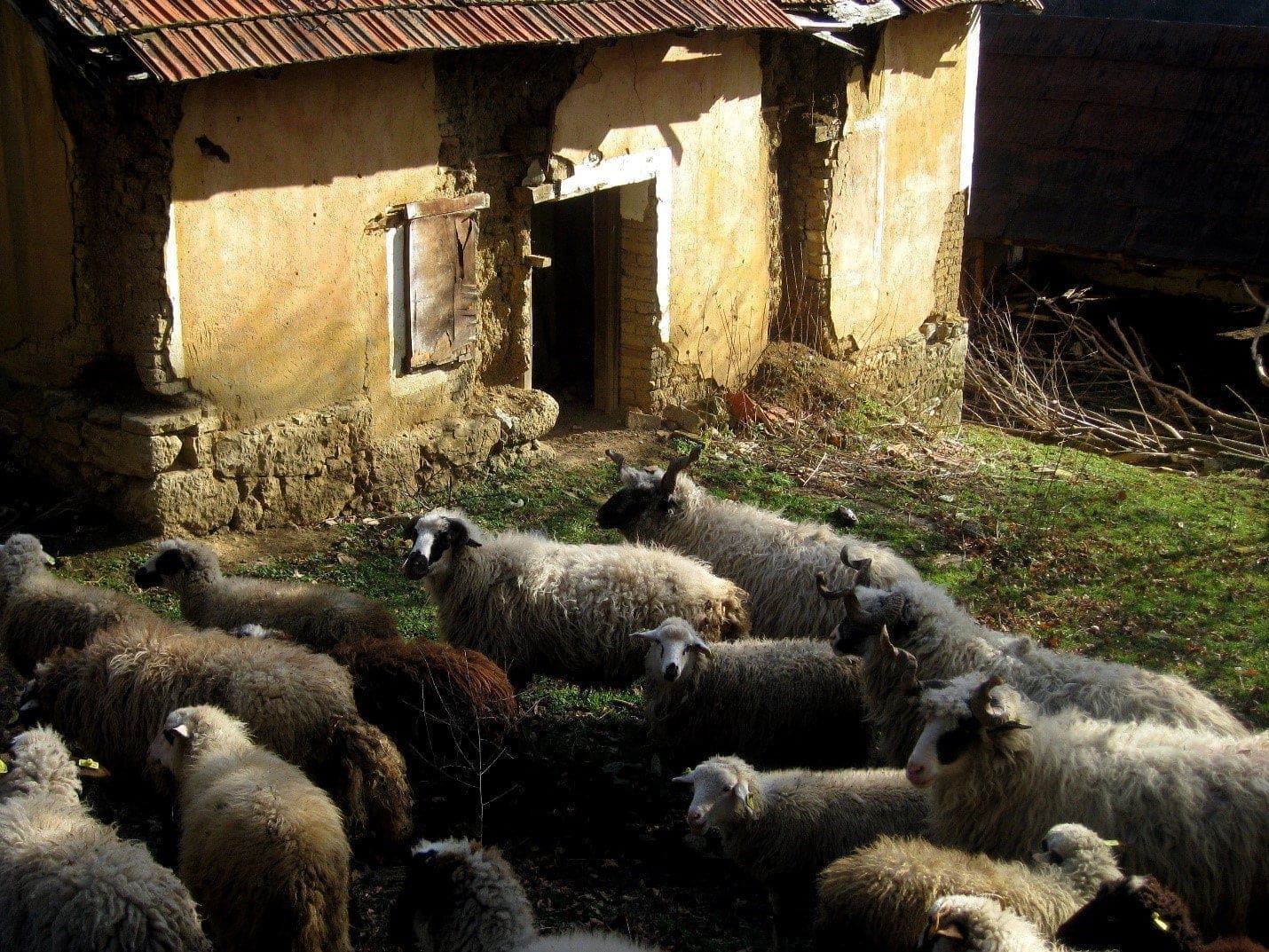 hiking in bosnia