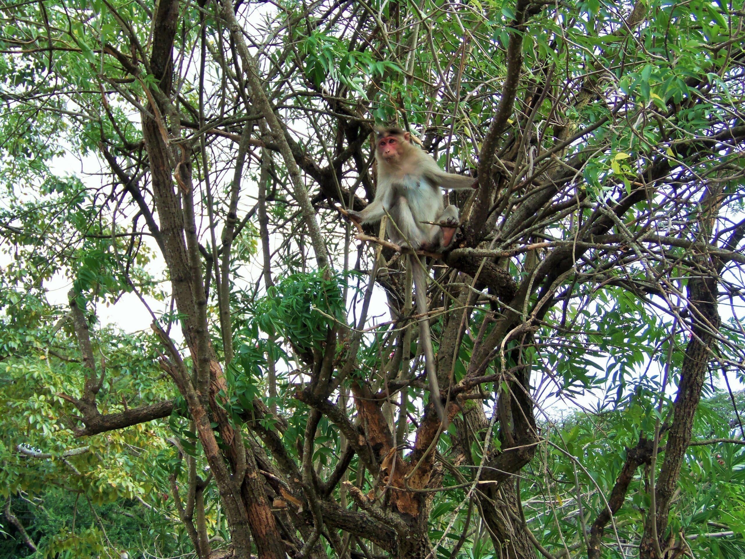 Off the beaten path India 