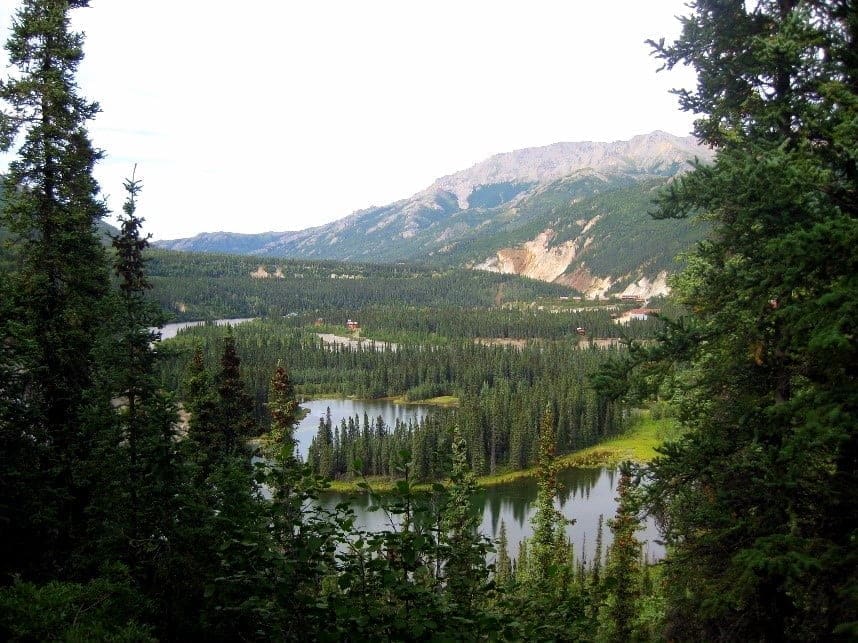 Horseshoe Lake - Beautiful views at Denali National Park 