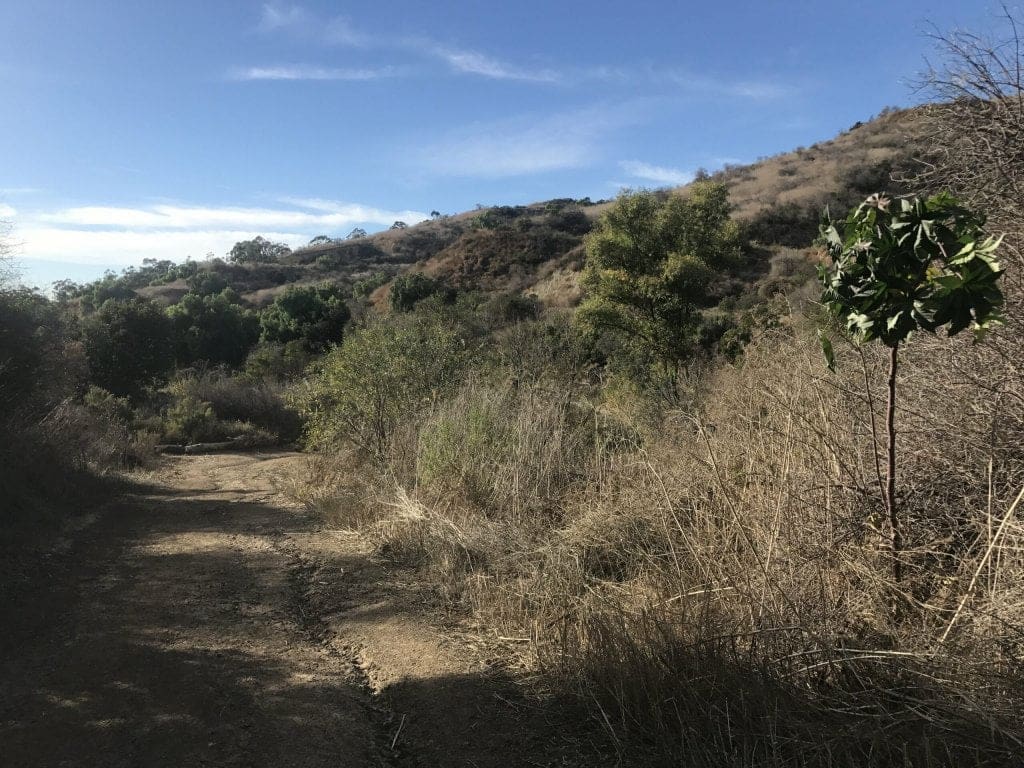 Puente Hills Preserve