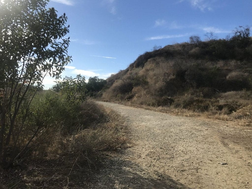 Tranquil Arroyo Pescadero Trail Hike in Whittier Woods | Rockchuck Summit