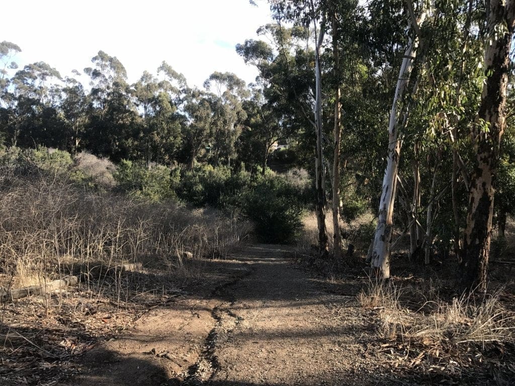 deer loop trail