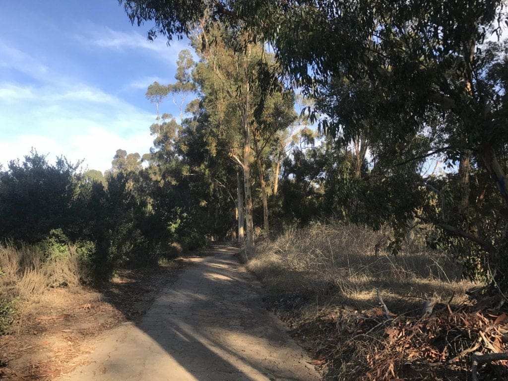 Arroyo Pescadero trail