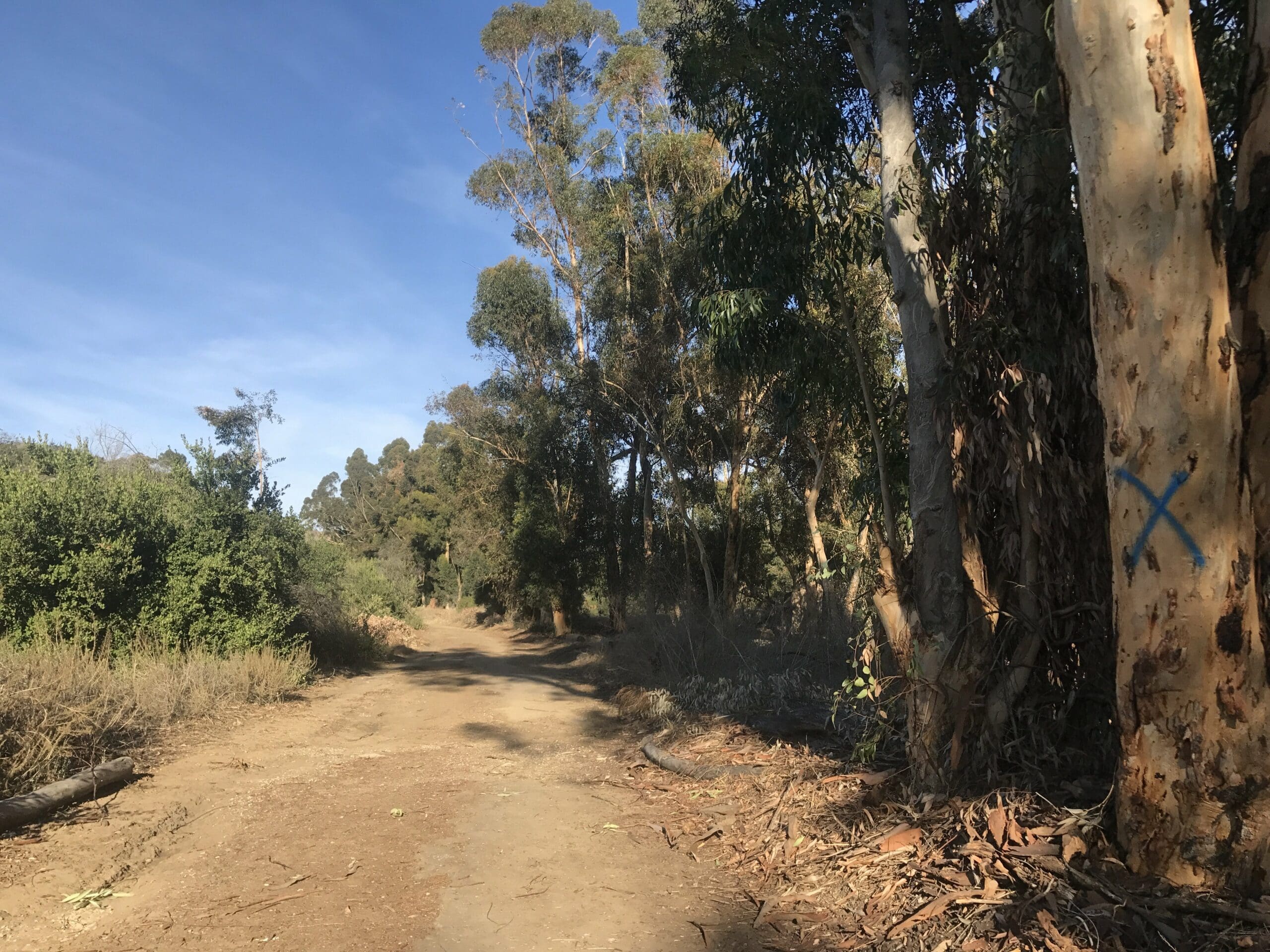 Arroyo Pescadero trail
