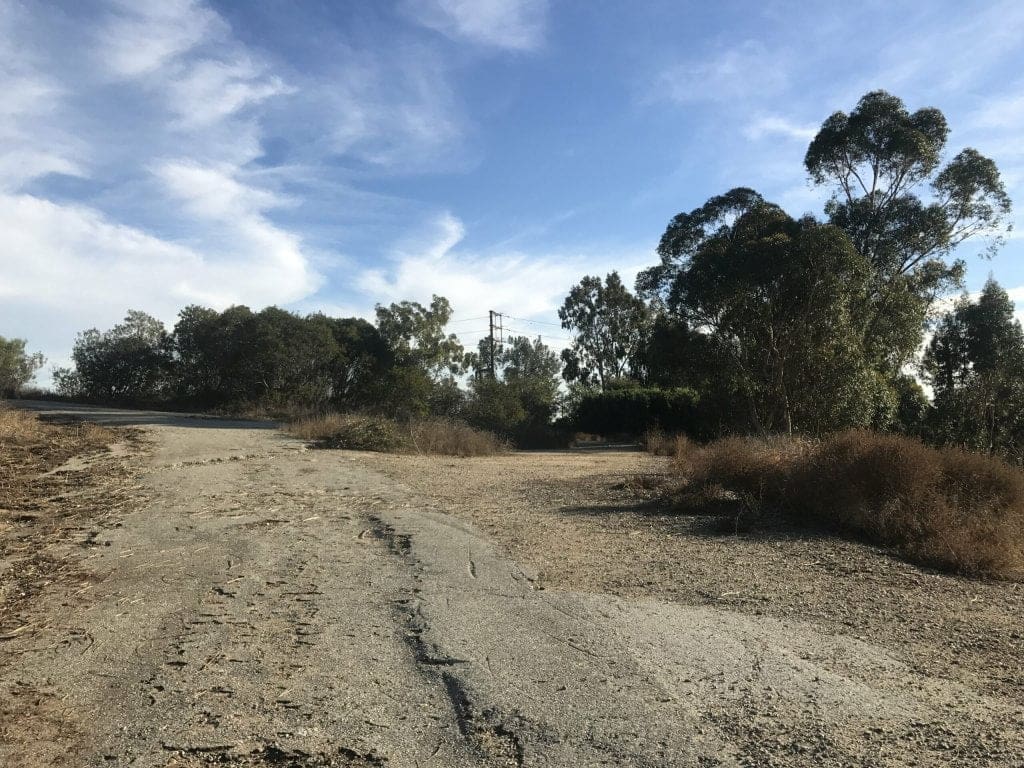 Arroyo Pescadero Trail: A Peaceful Hiking Loop Within the Woods of Whittier