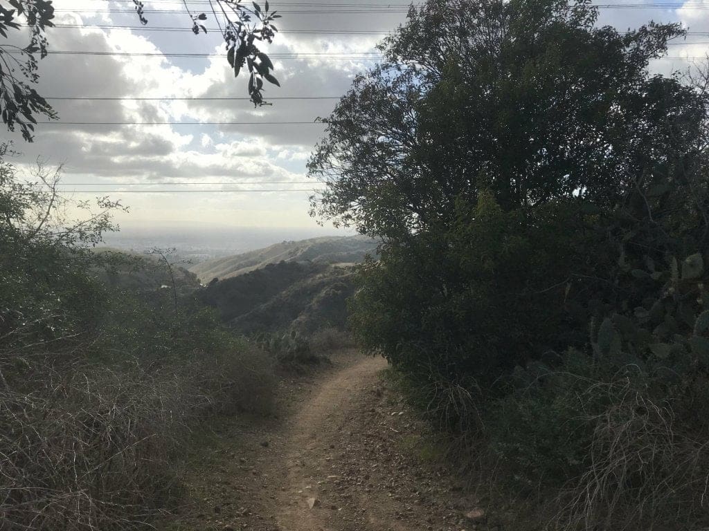 Turnbull Canyon