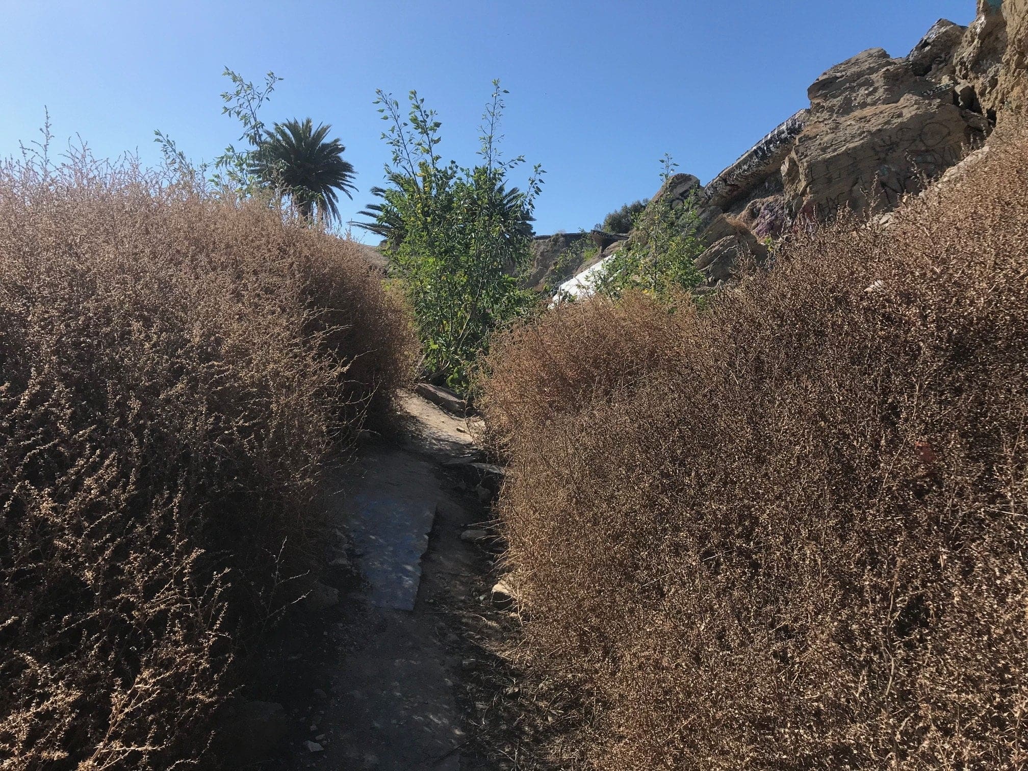 San Pedro Sunken City