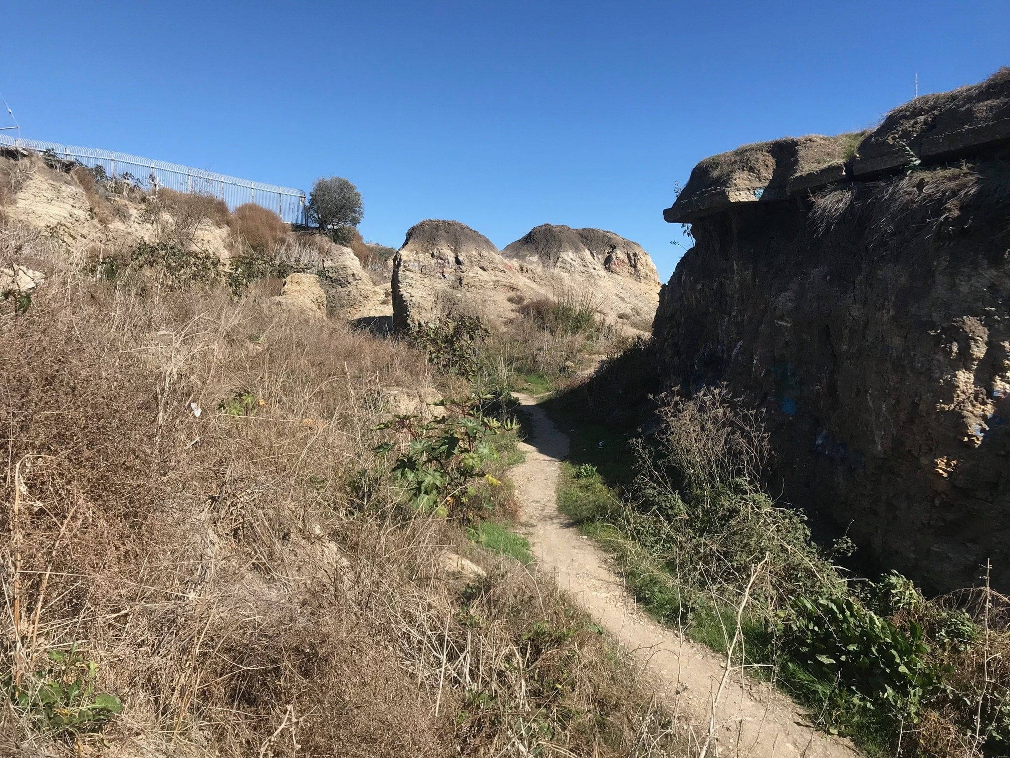 San Pedro Sunken City tail