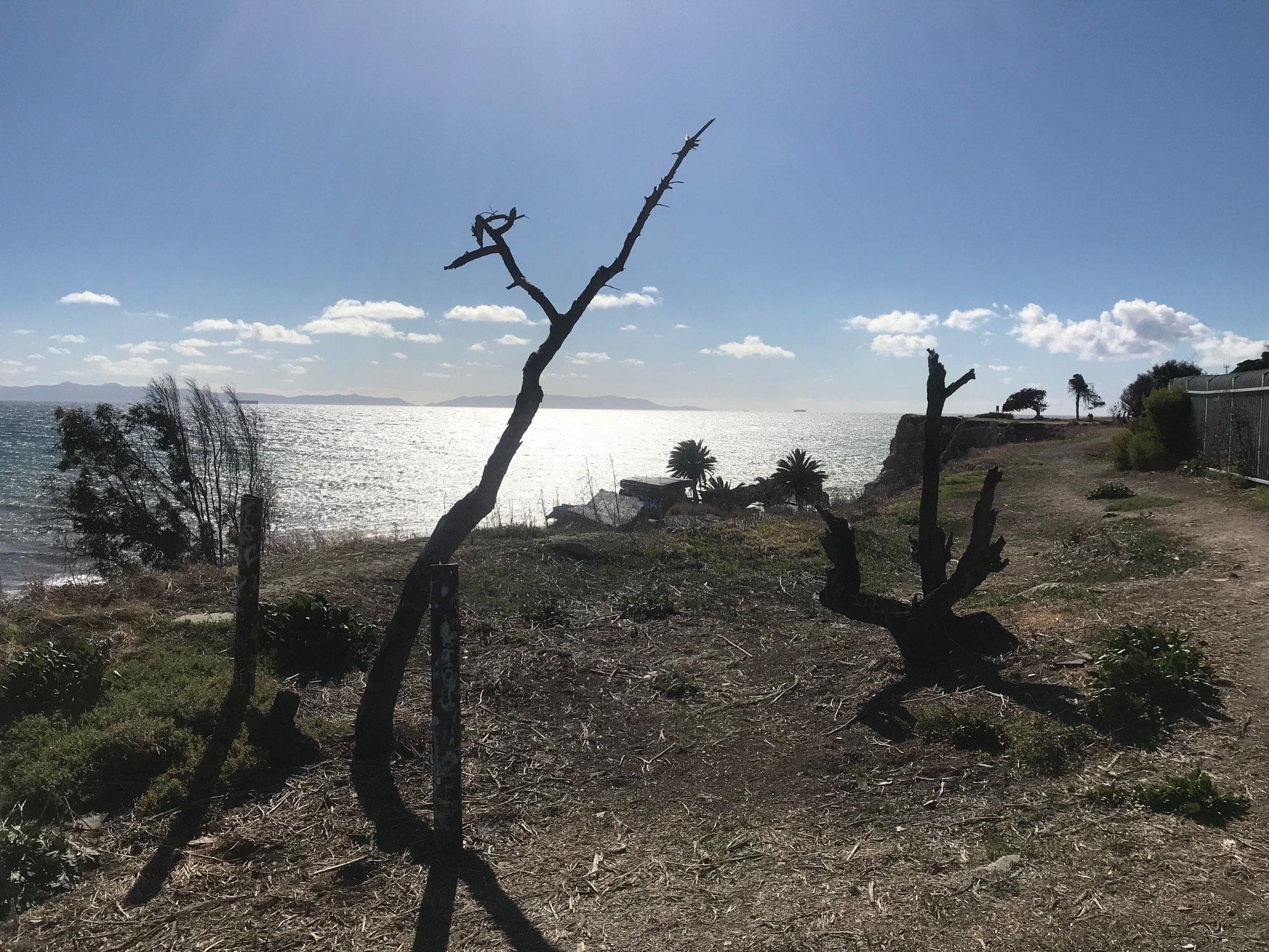 San Pedro Sunken City shore