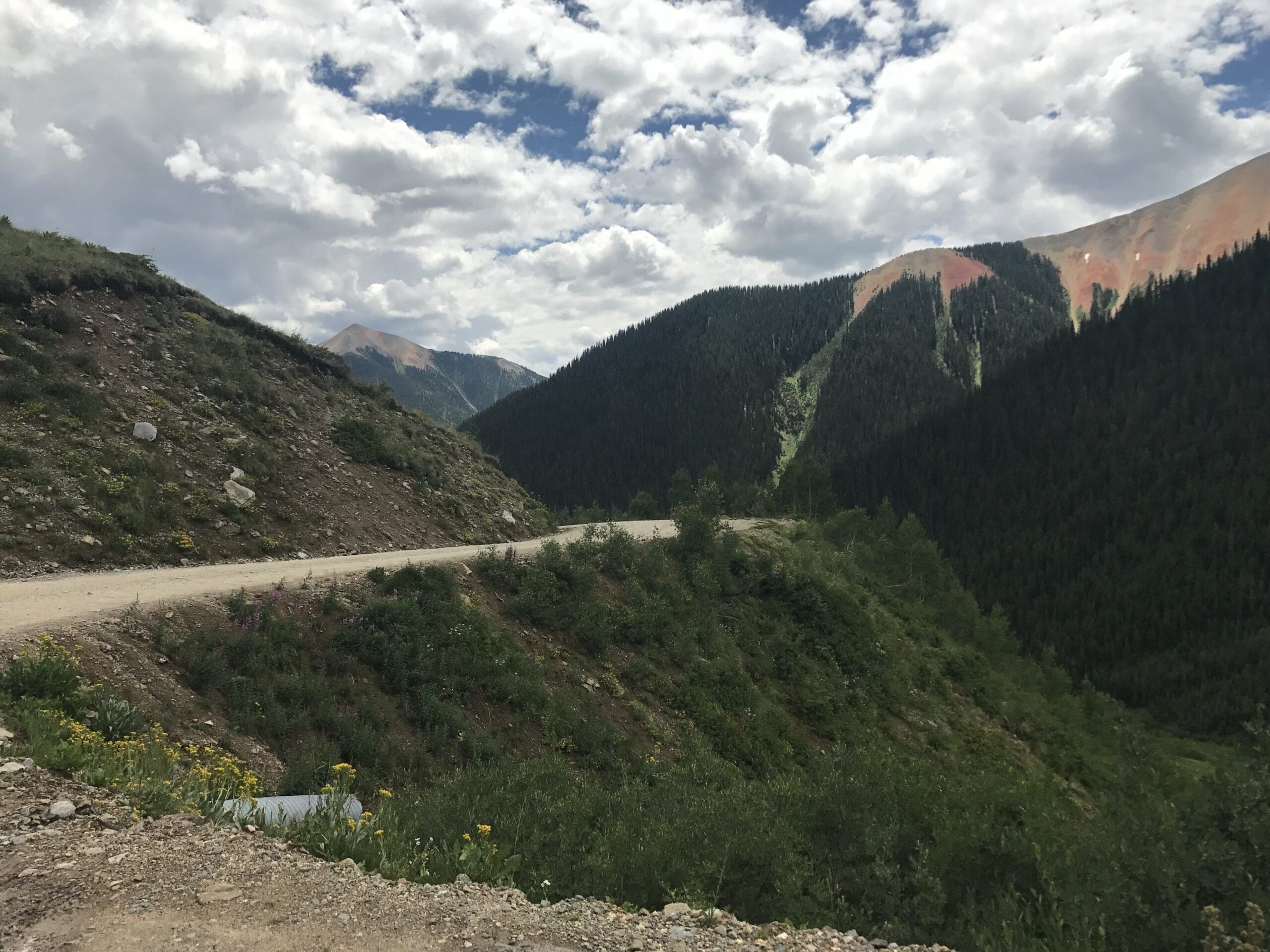 Ophir Pass Jeep Trail